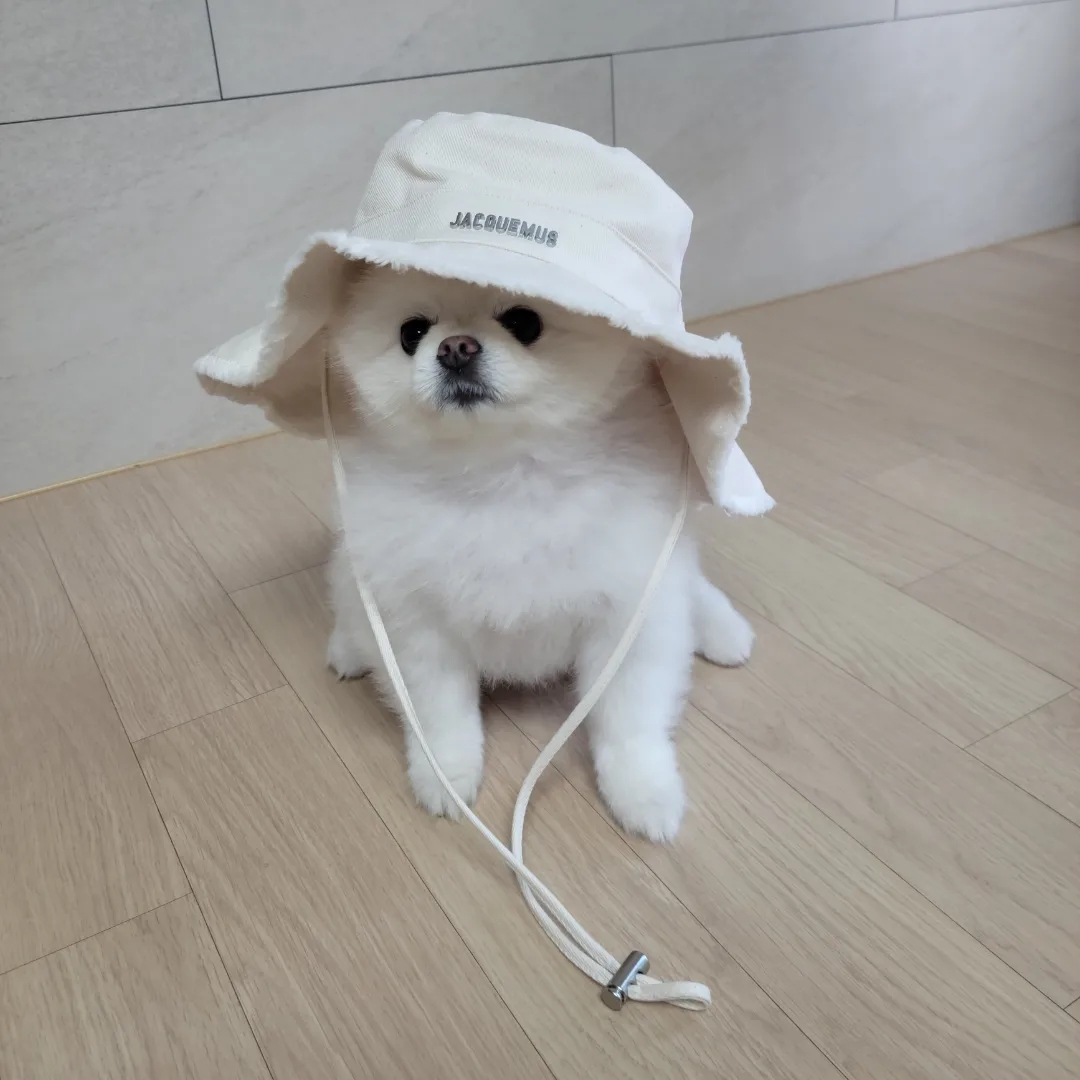 Jacquemus Le Bob Artichaut Bucket Hat Off White 착용 스타일
