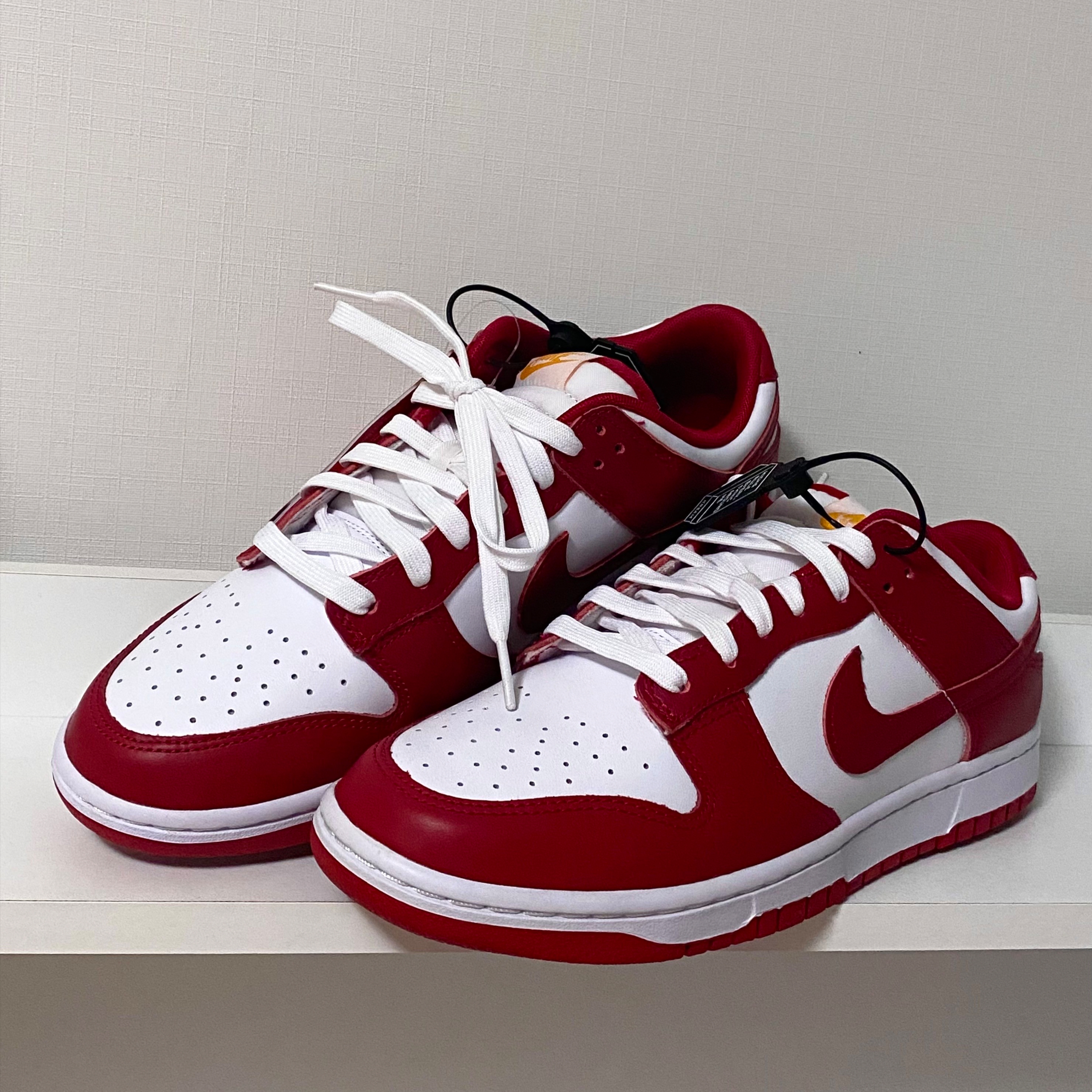 Nike Dunk Low Retro Gym Red 착용 스타일