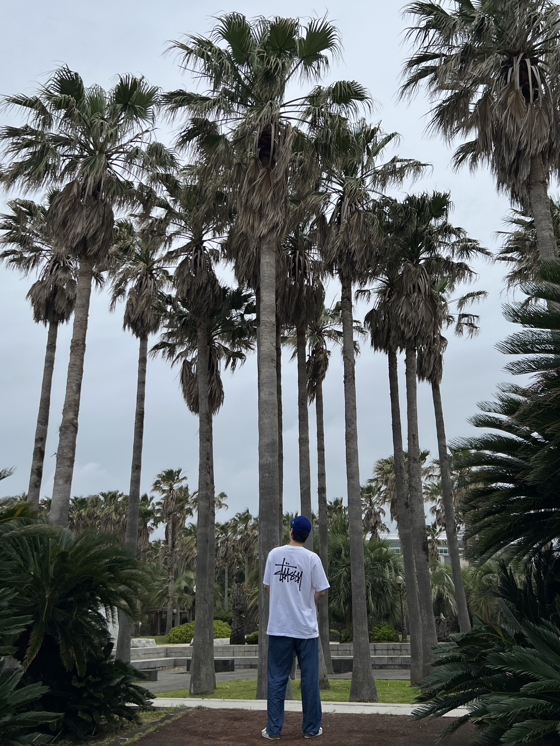 Stussy Basic Stussy T-Shirt White 2023 착용 스타일