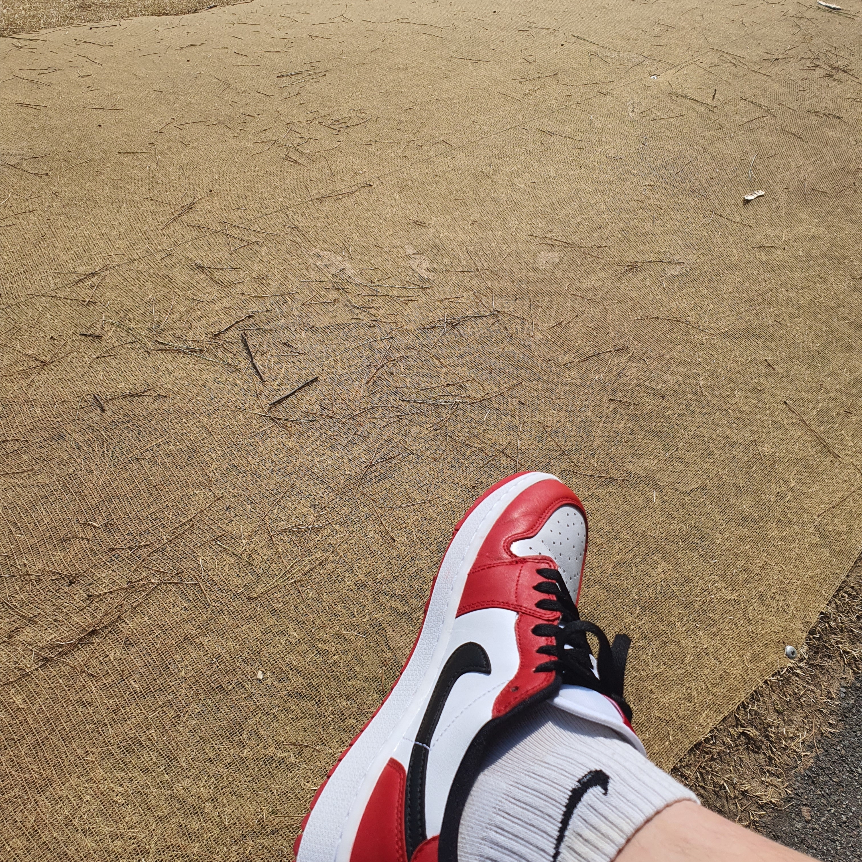 Jordan 1 Low Golf Chicago 착용 스타일