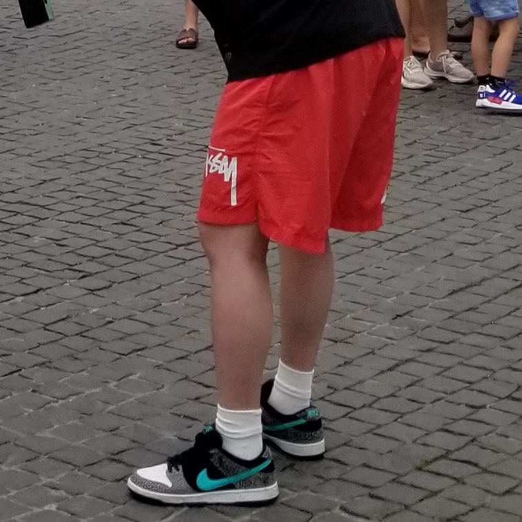 Nike x Stussy Water Shorts Habanero Red, Nike SB Dunk Low Pro Clear Jade 착용 스타일