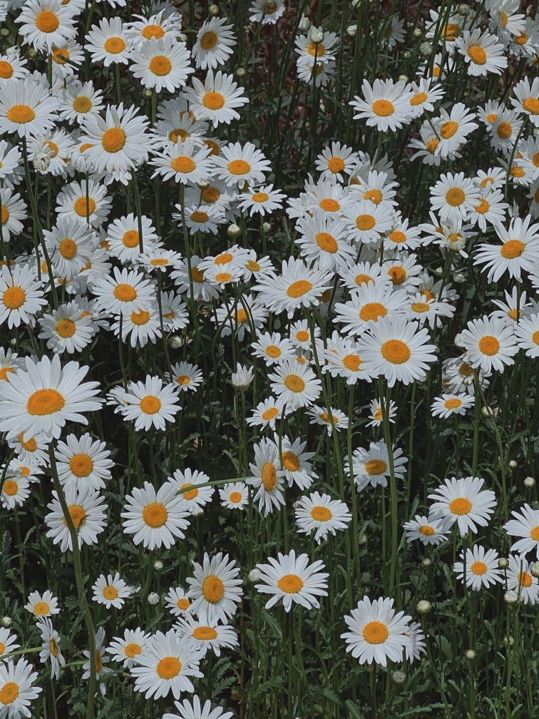 관심 유저 프로필 이미지