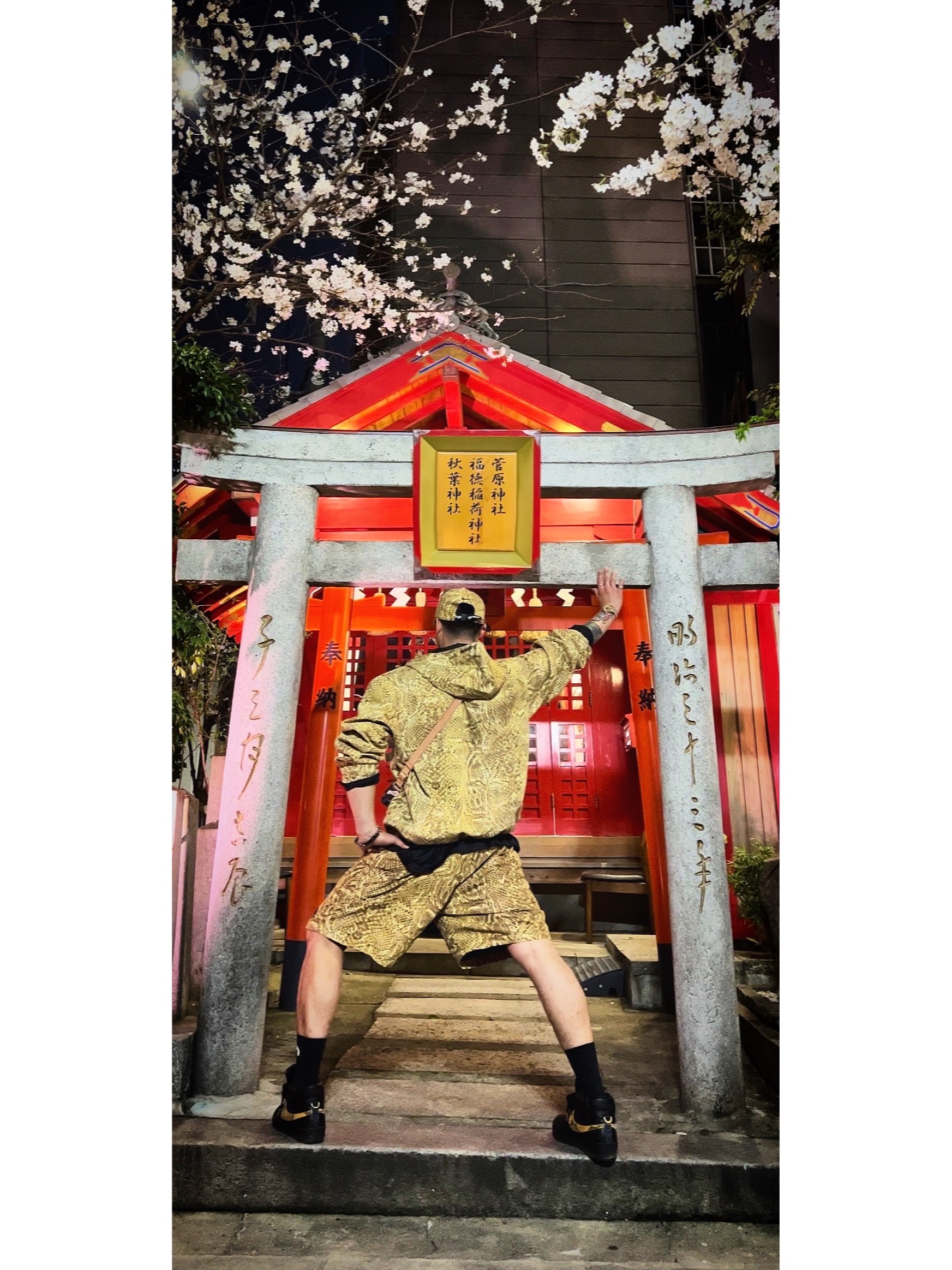 Supreme x Nike ACG Denim 6-Panel Gold Snakeskin - 22FW, Supreme x Nike ACG Denim Pullover Gold Snakeskin - 22FW 착용 스타일 - 1