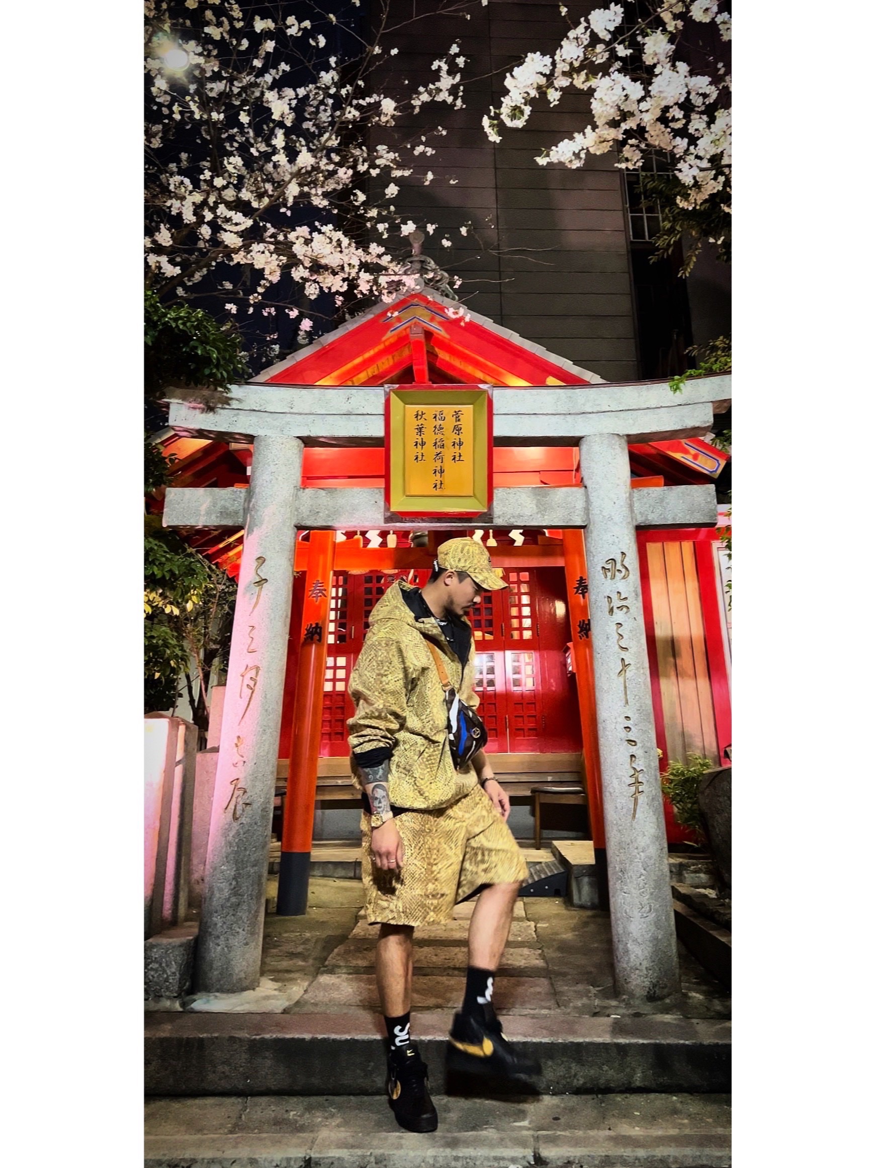 Supreme x Nike ACG Denim 6-Panel Gold Snakeskin - 22FW, Supreme x Nike ACG Denim Pullover Gold Snakeskin - 22FW 착용 스타일 - 1