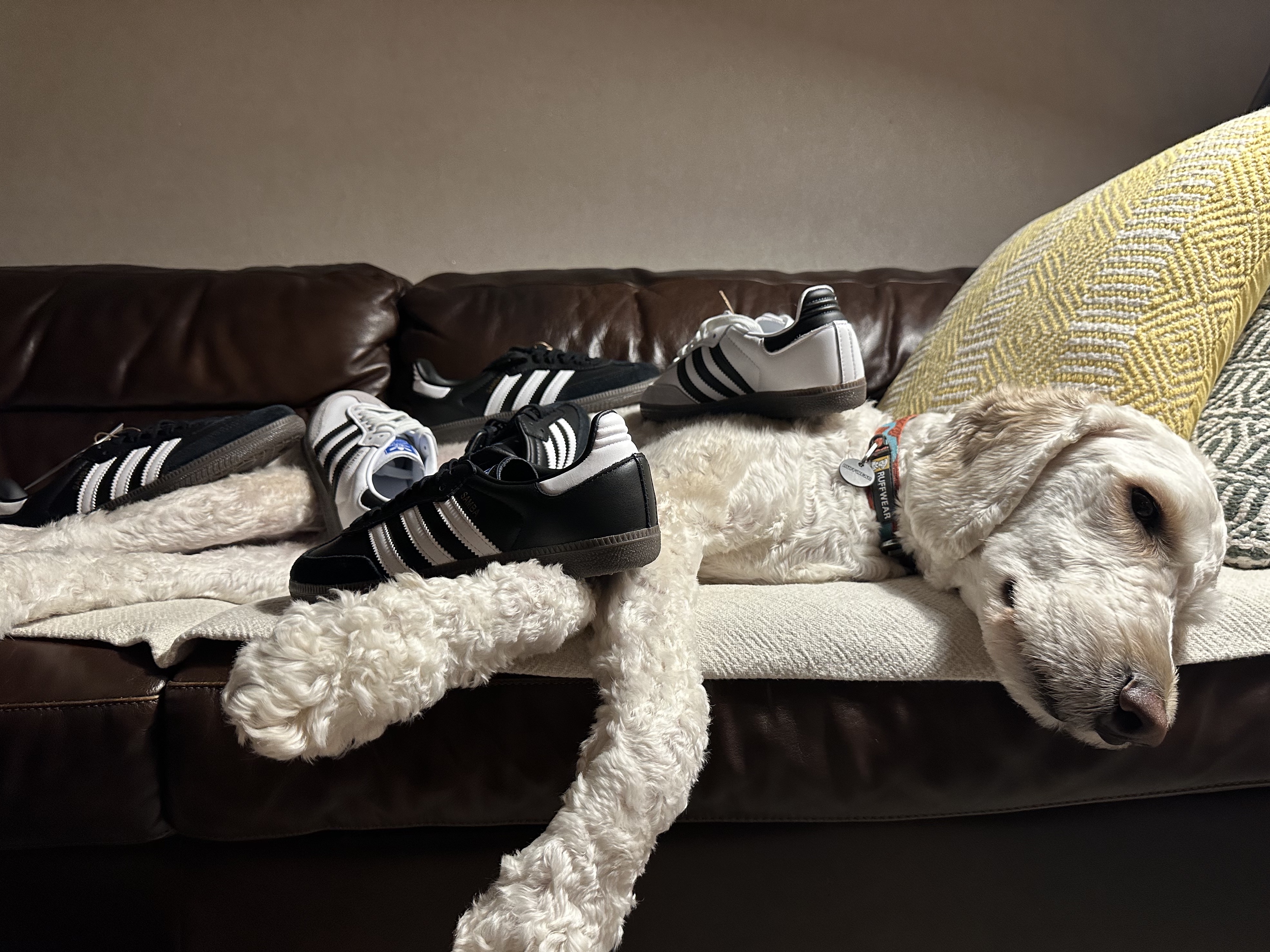 Adidas Samba OG Cloud White, Adidas Samba OG Black White Gum 착용 스타일 - 1