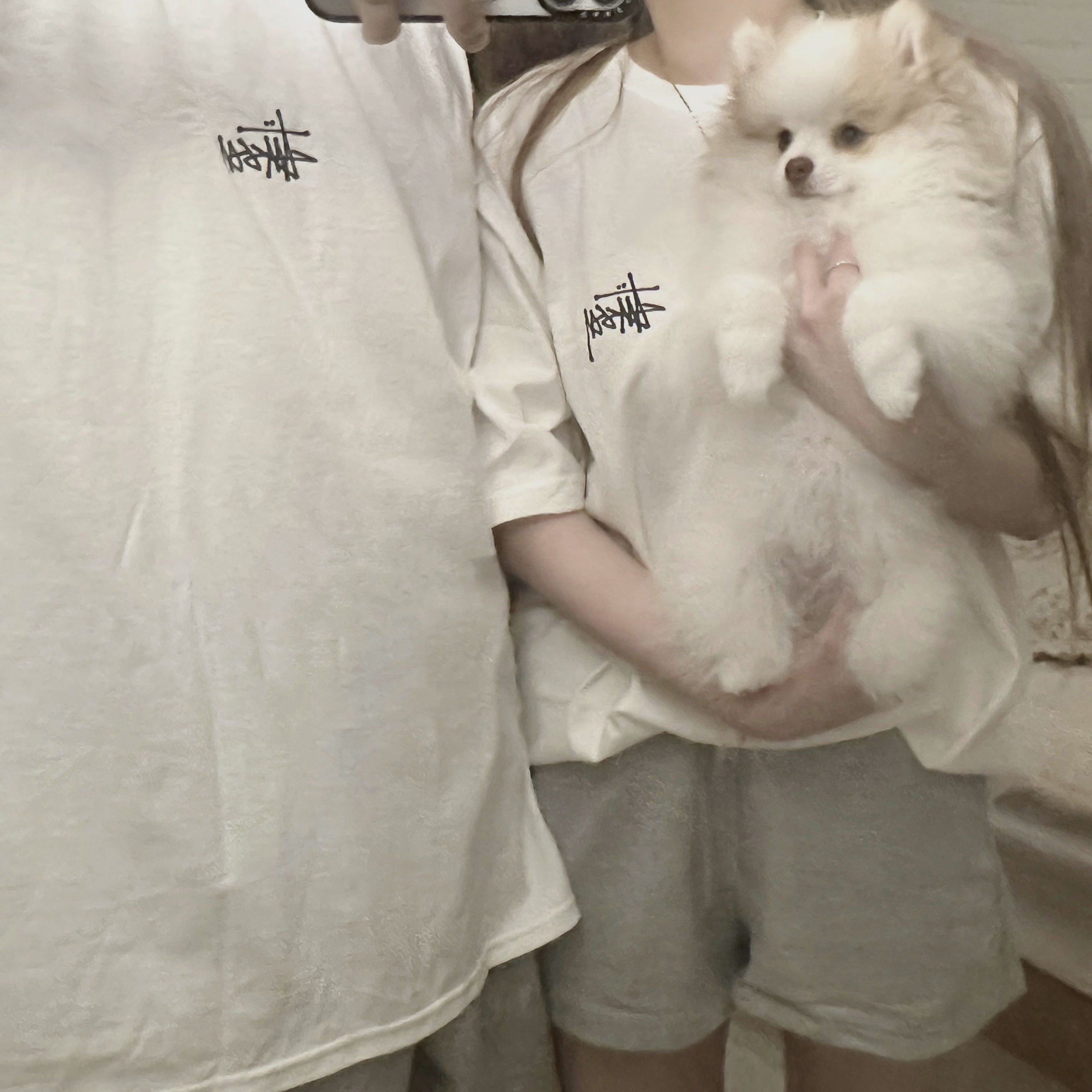 Stussy Basic Stussy T-Shirt White 2023 착용 스타일