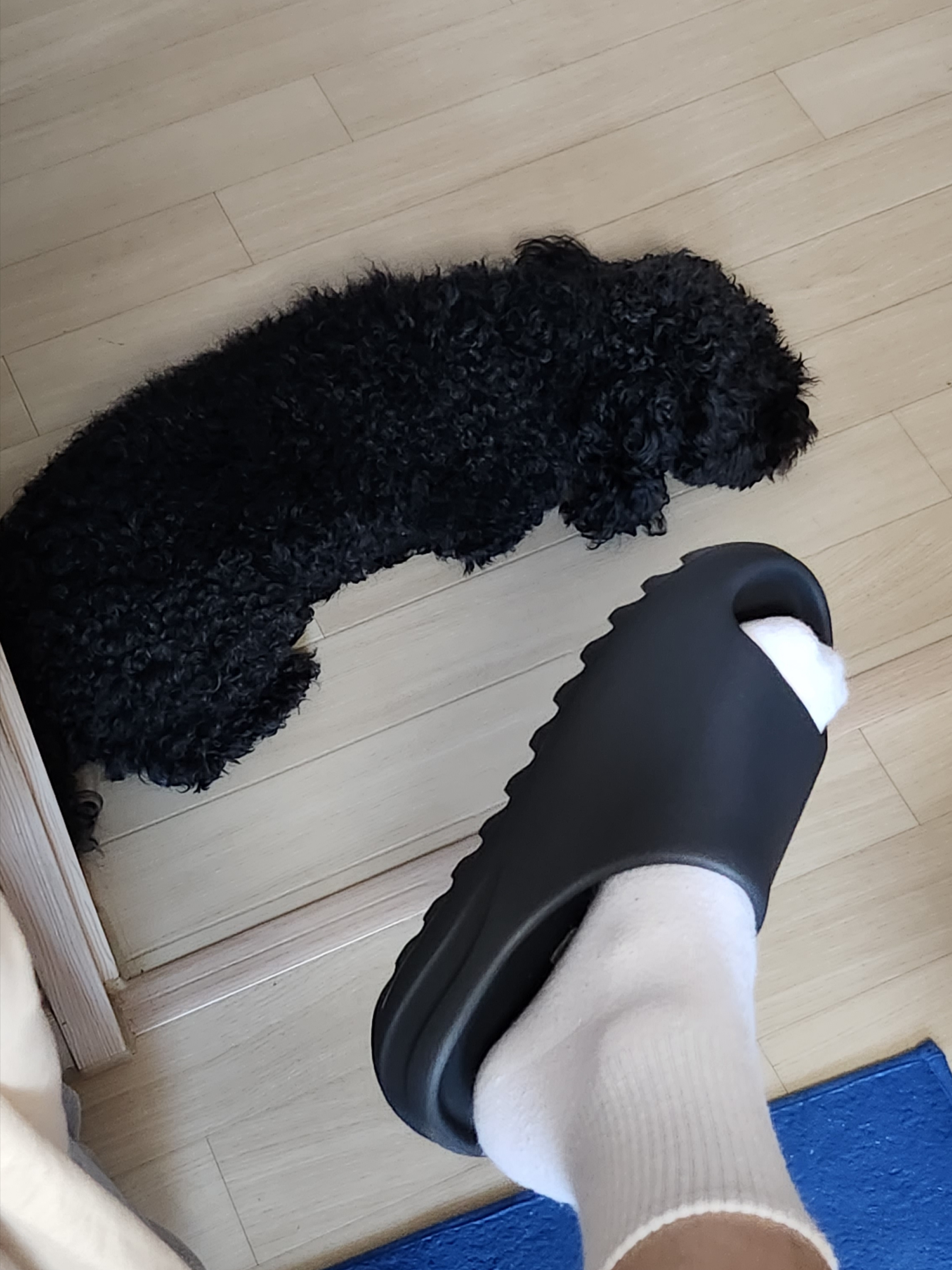 Adidas Yeezy Slide Onyx 착용 스타일