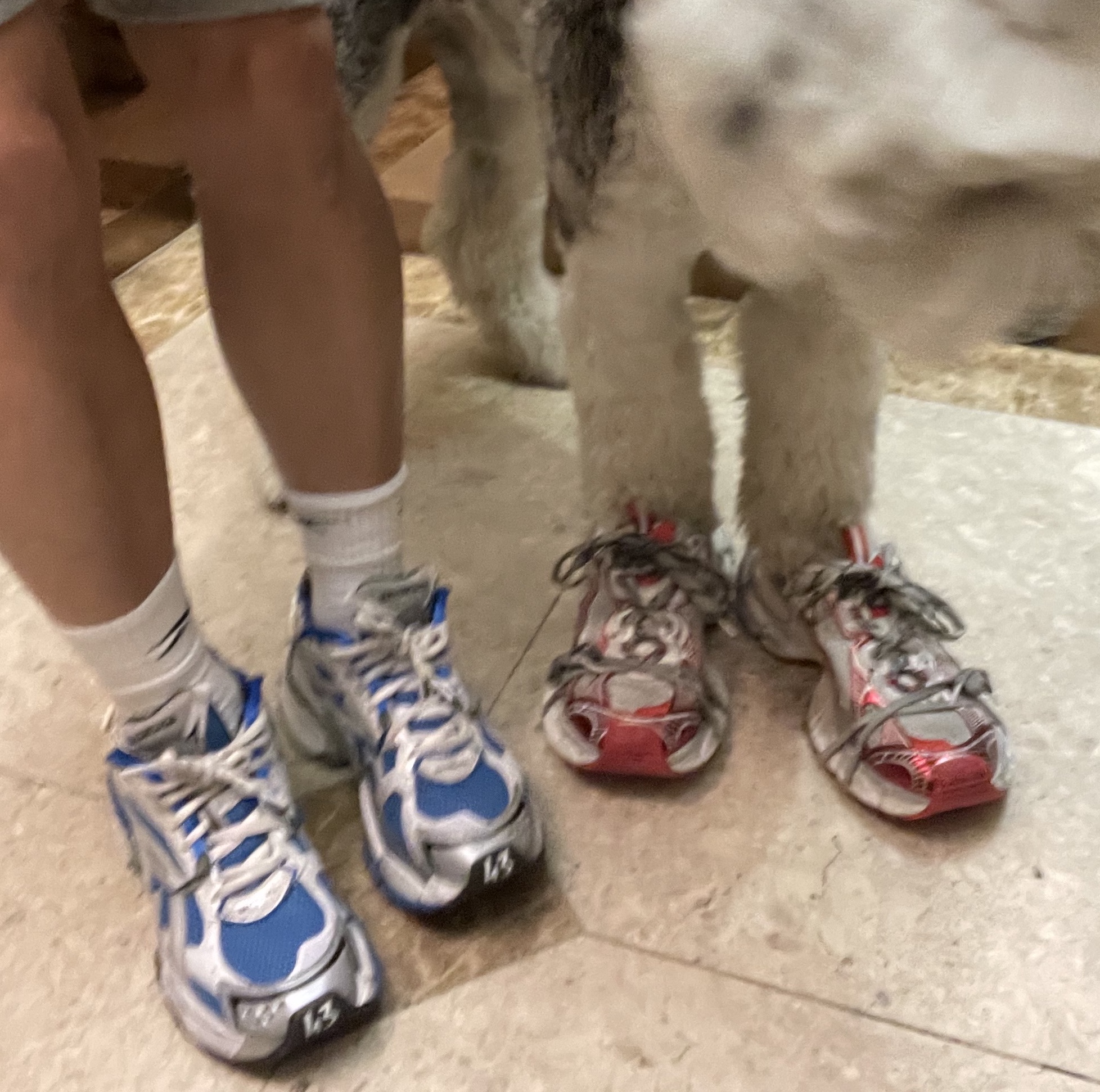 Balenciaga Runner Sneakers Blue White, Balenciaga 3XL Sneakers White Red 착용 스타일