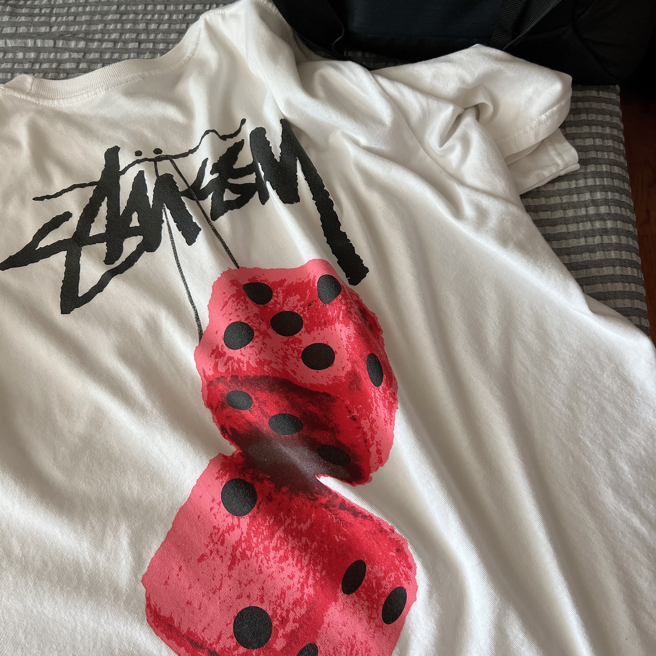 Stussy Fuzzy Dice T-Shirt White 착용 스타일 - 1