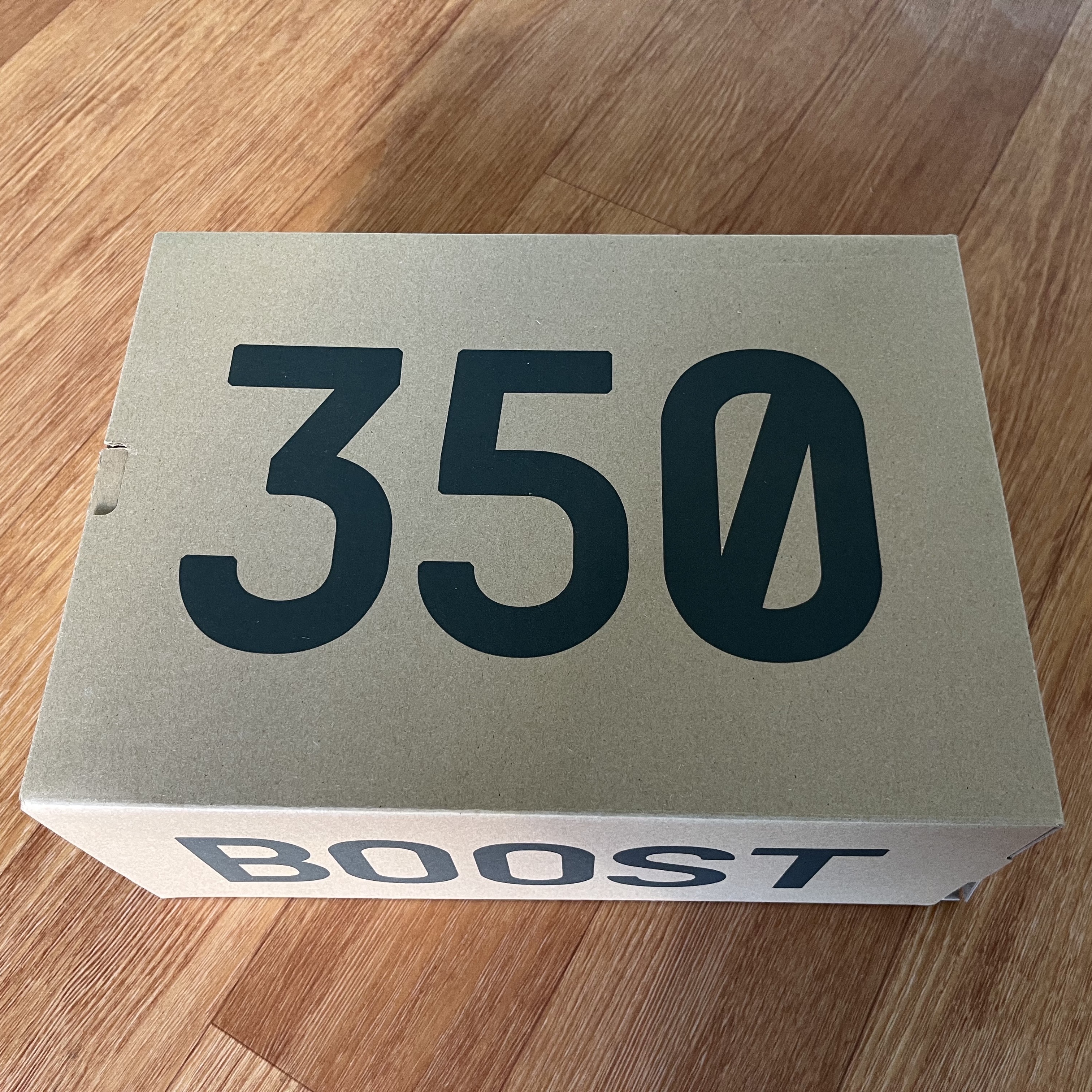Adidas Yeezy Boost 350 V2 Carbon Beluga 착용 스타일 - 2