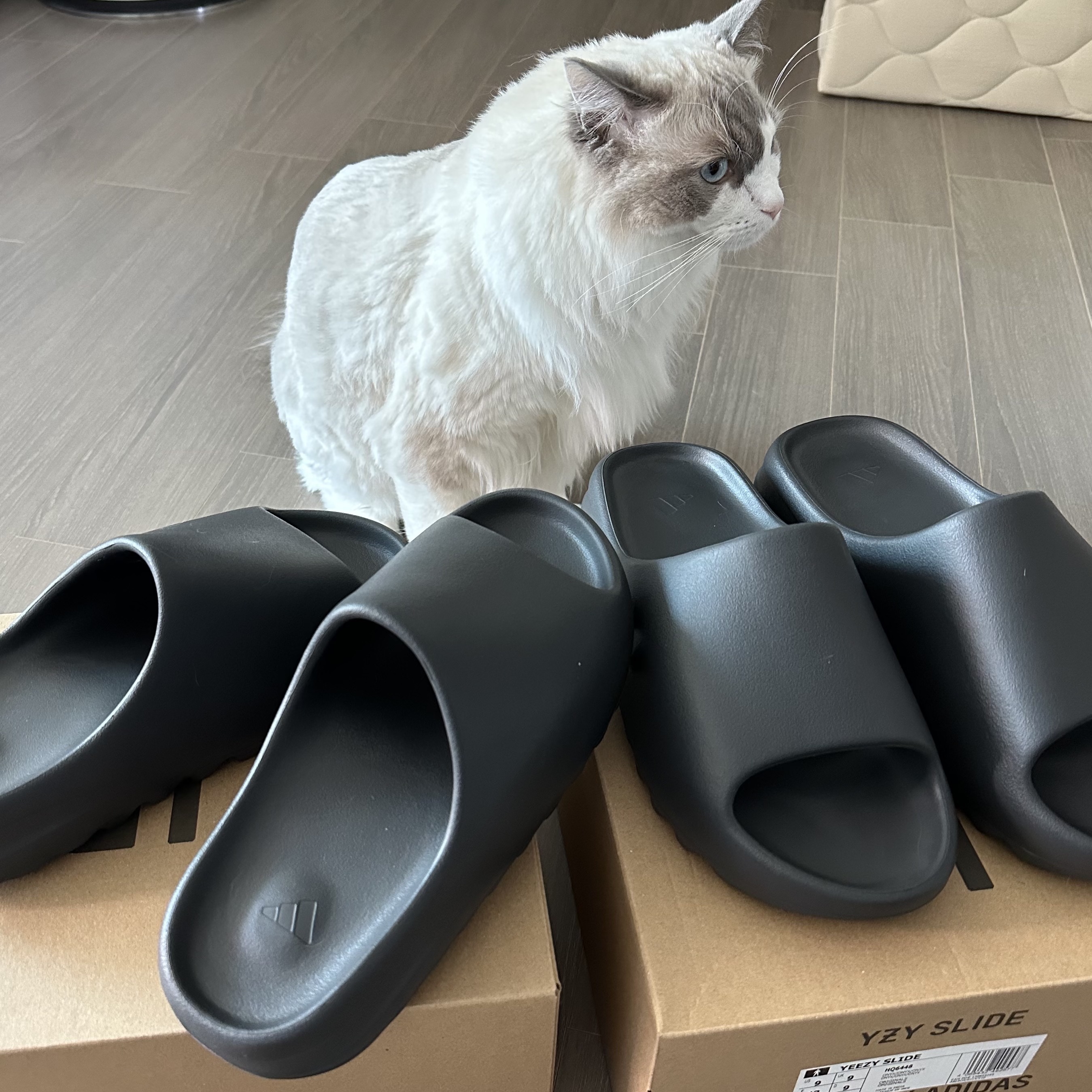 Adidas Yeezy Slide Onyx 착용 스타일