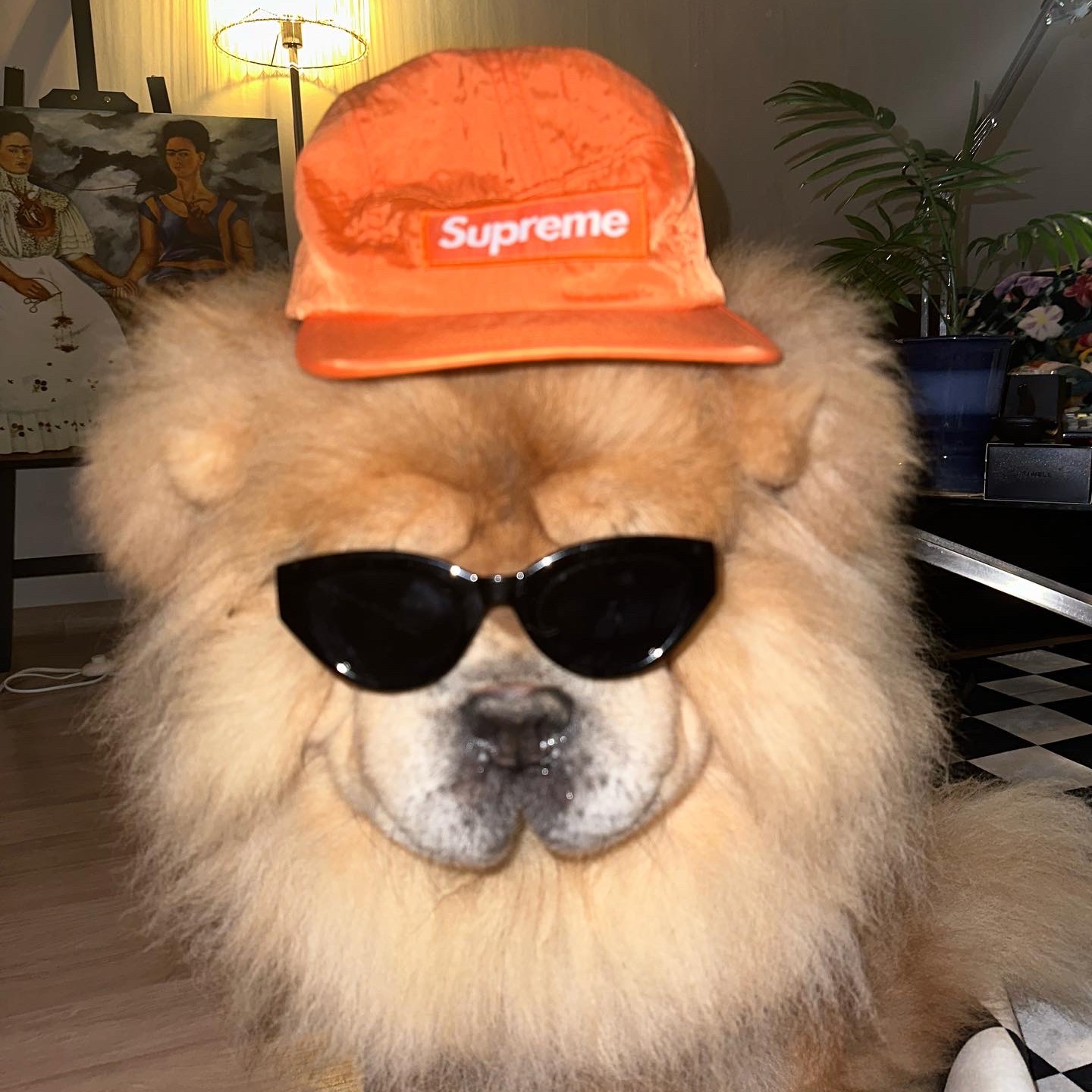 Supreme Washed Chino Twill Camp Cap Black 착용 스타일 - 4