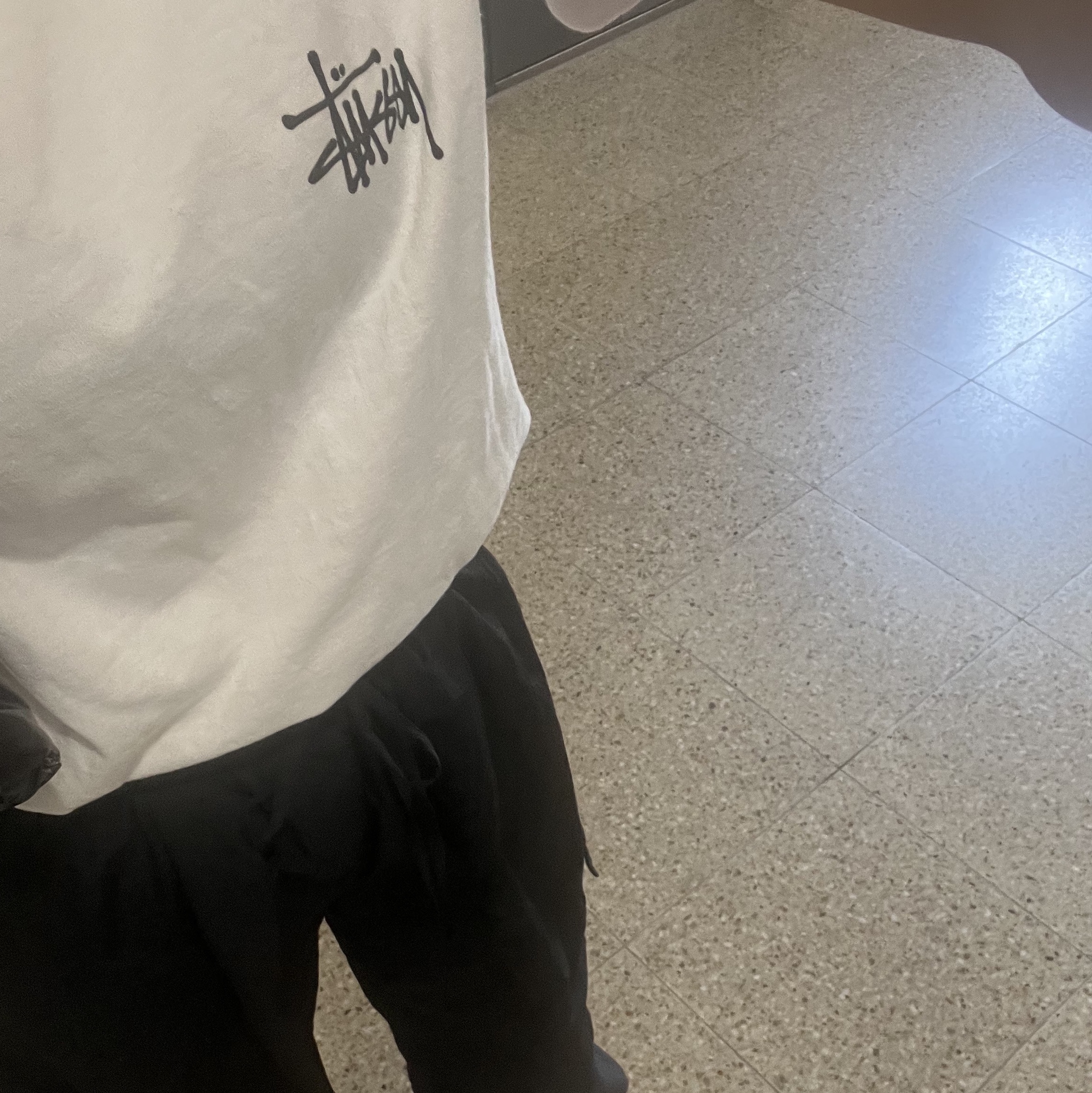 Stussy Basic Stussy T-Shirt White 2022 착용 스타일