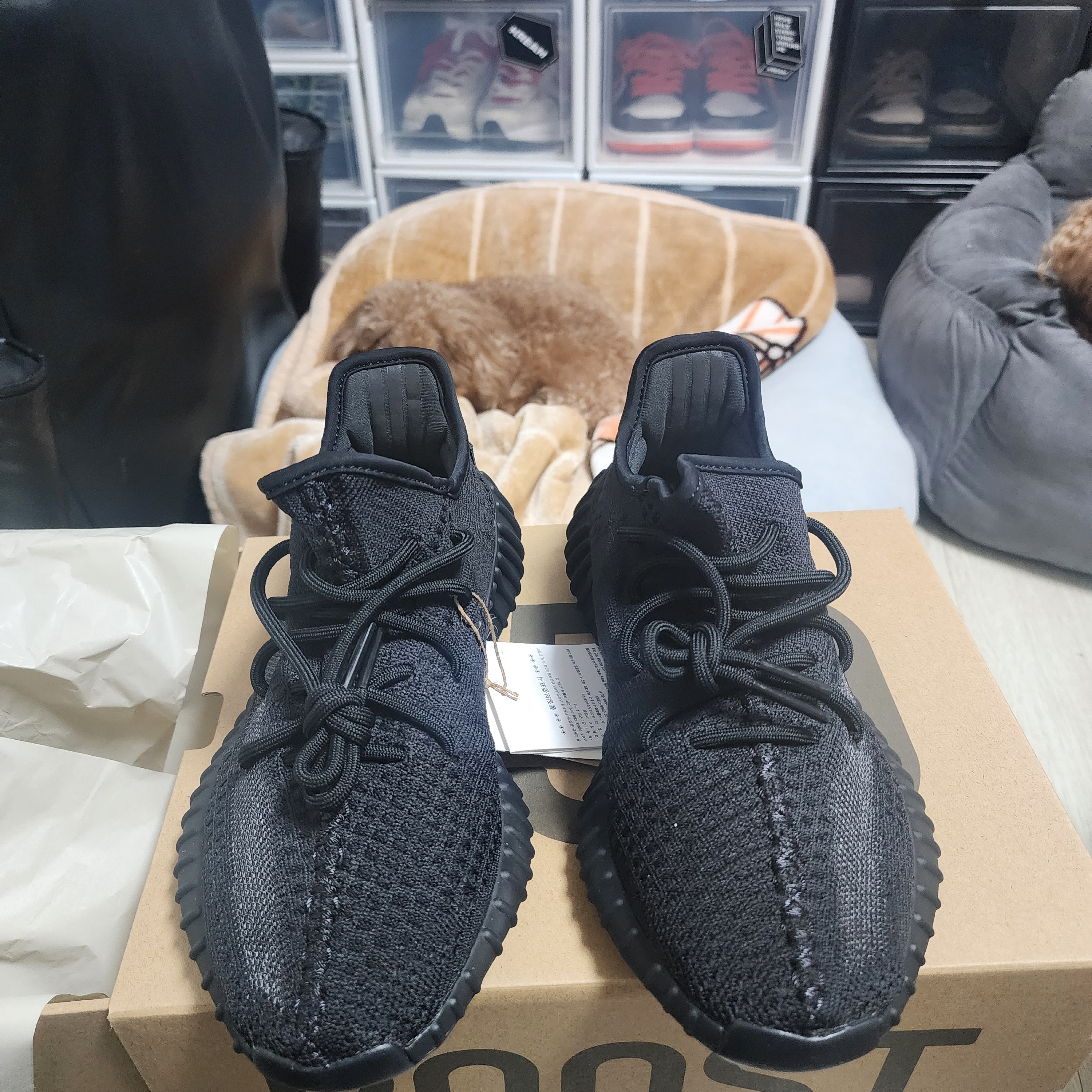 Adidas Yeezy Boost 350 V2 Onyx 착용 스타일 - 2