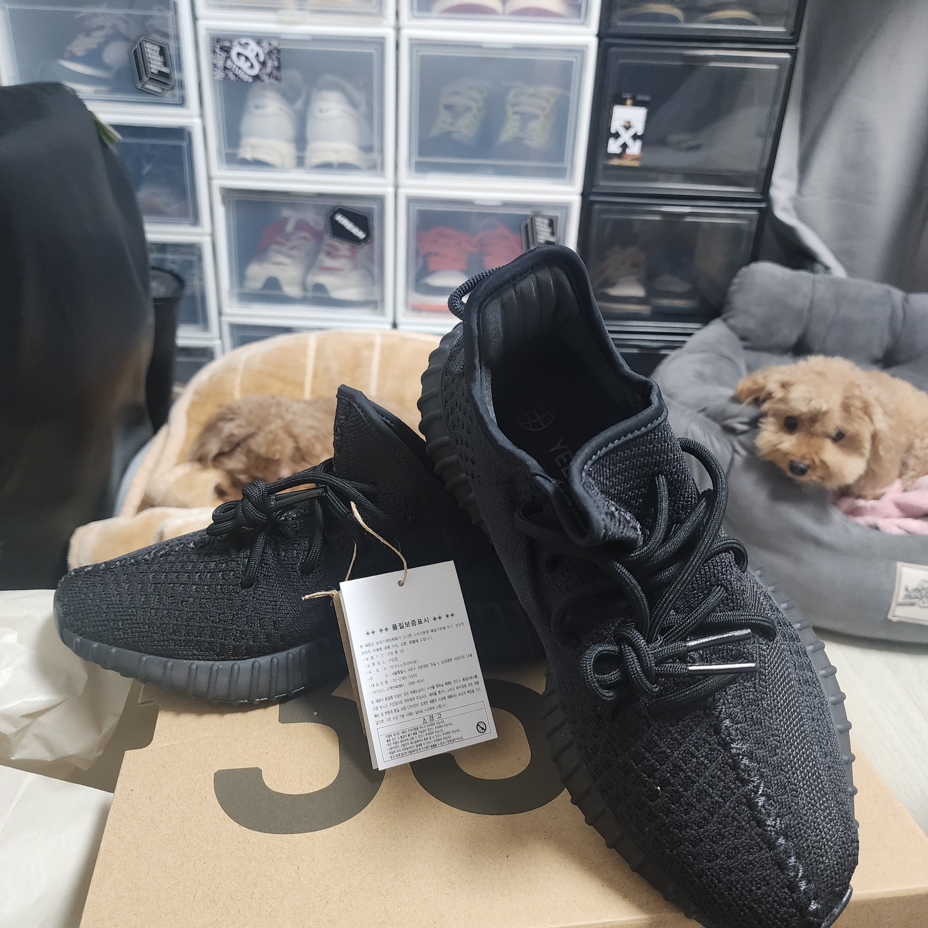 Adidas Yeezy Boost 350 V2 Onyx 착용 스타일 - 4