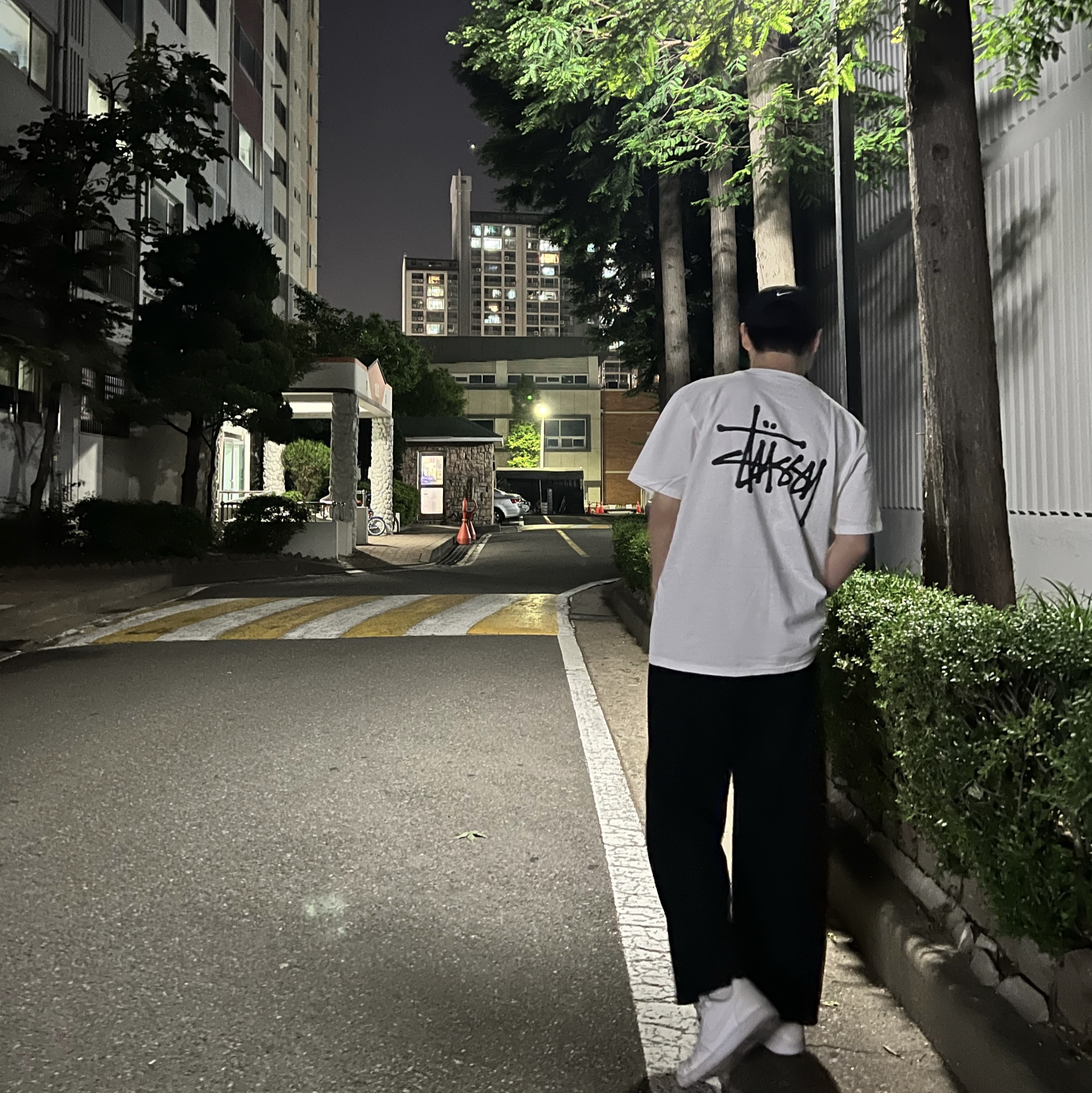Stussy Basic Stussy T-Shirt White 2023 착용 스타일