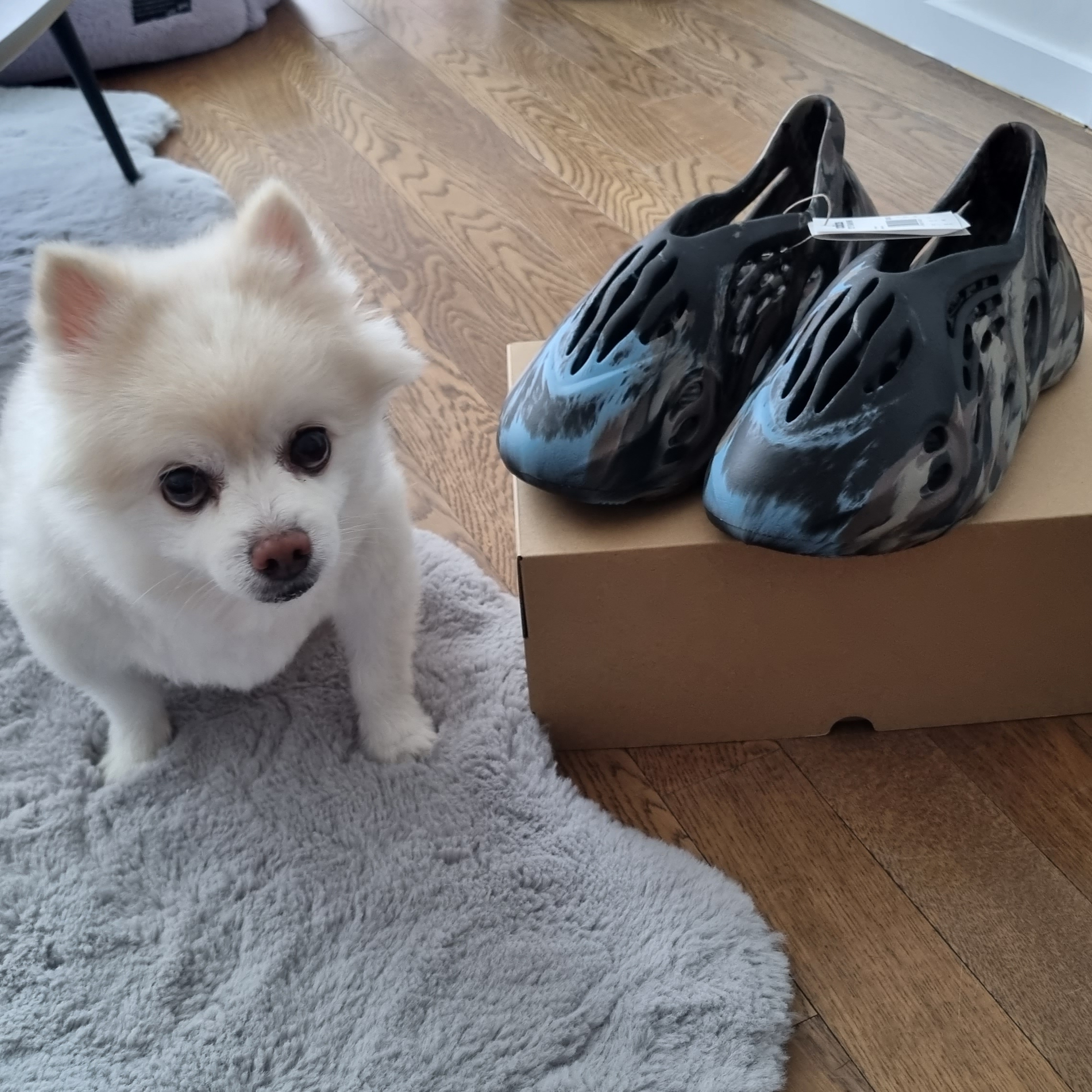 Adidas Yeezy Foam RNNR MX Cinder 착용 스타일