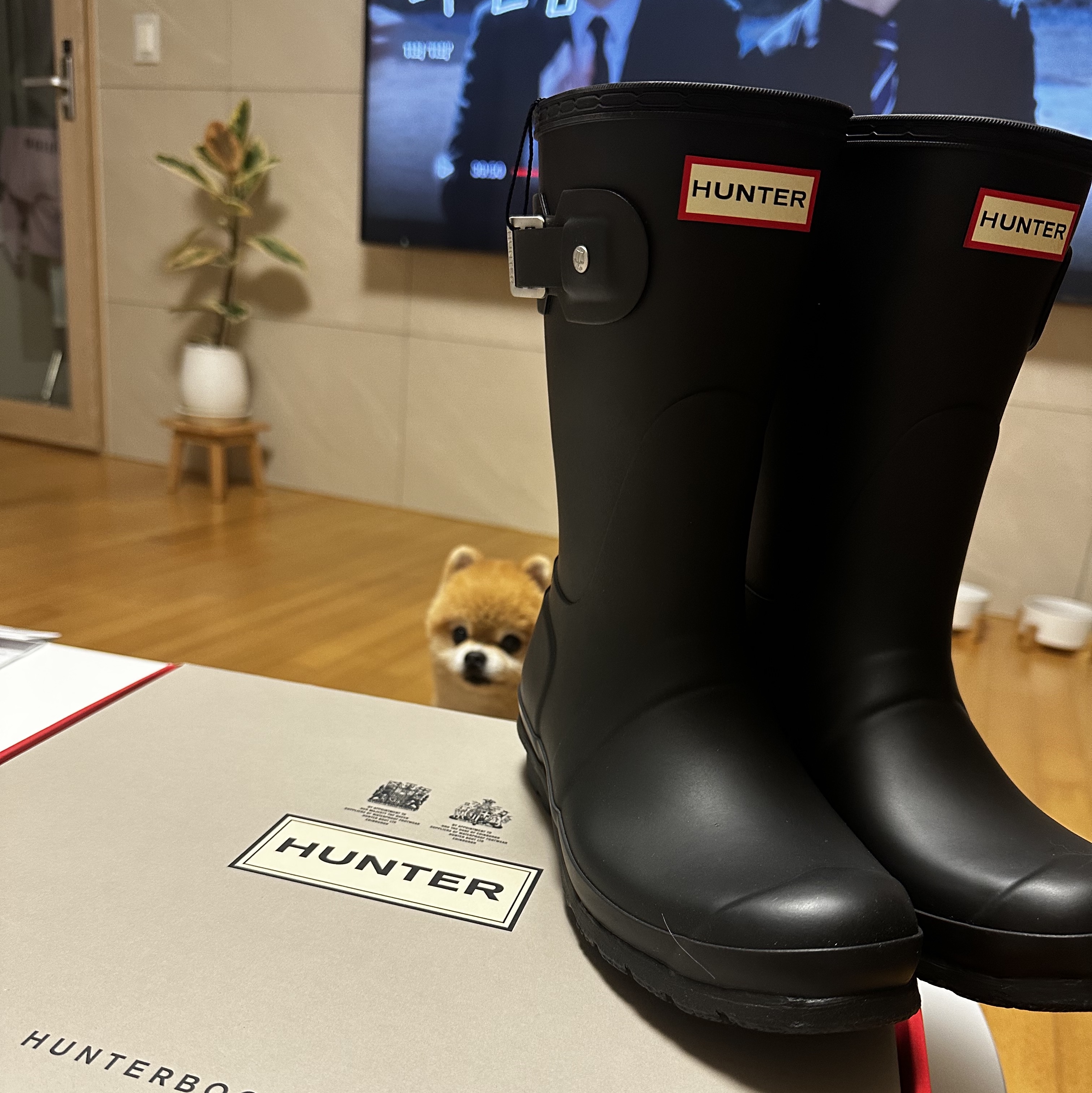 (W) Hunter Original Short Rain Boots Black 착용 스타일