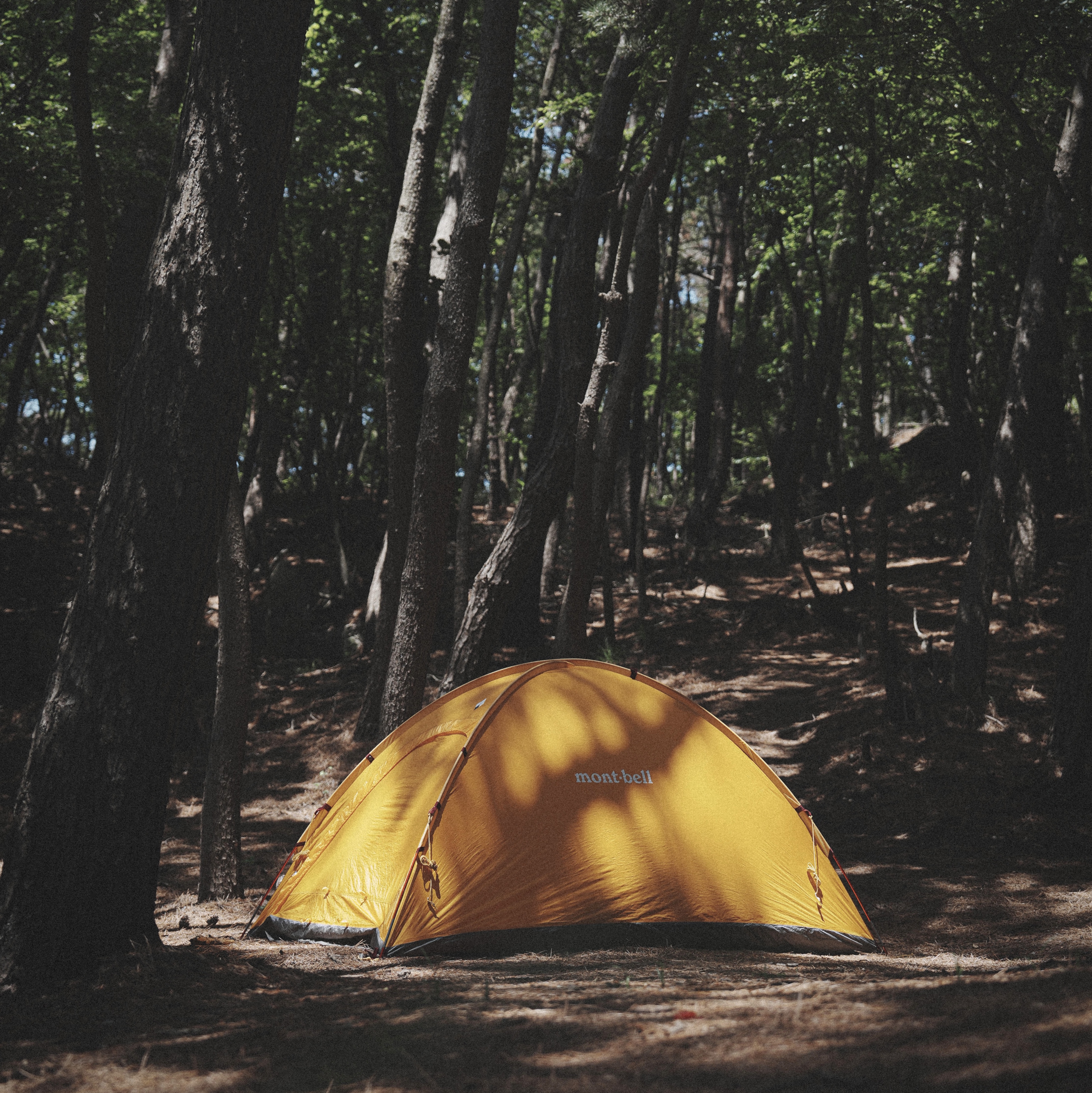 Arc'teryx Squamish Hoody Black, Oakley Eye Jacket Redux Matte Black Frame Prizm Grey Lenses High Bridge Fit 착용 스타일 - 5
