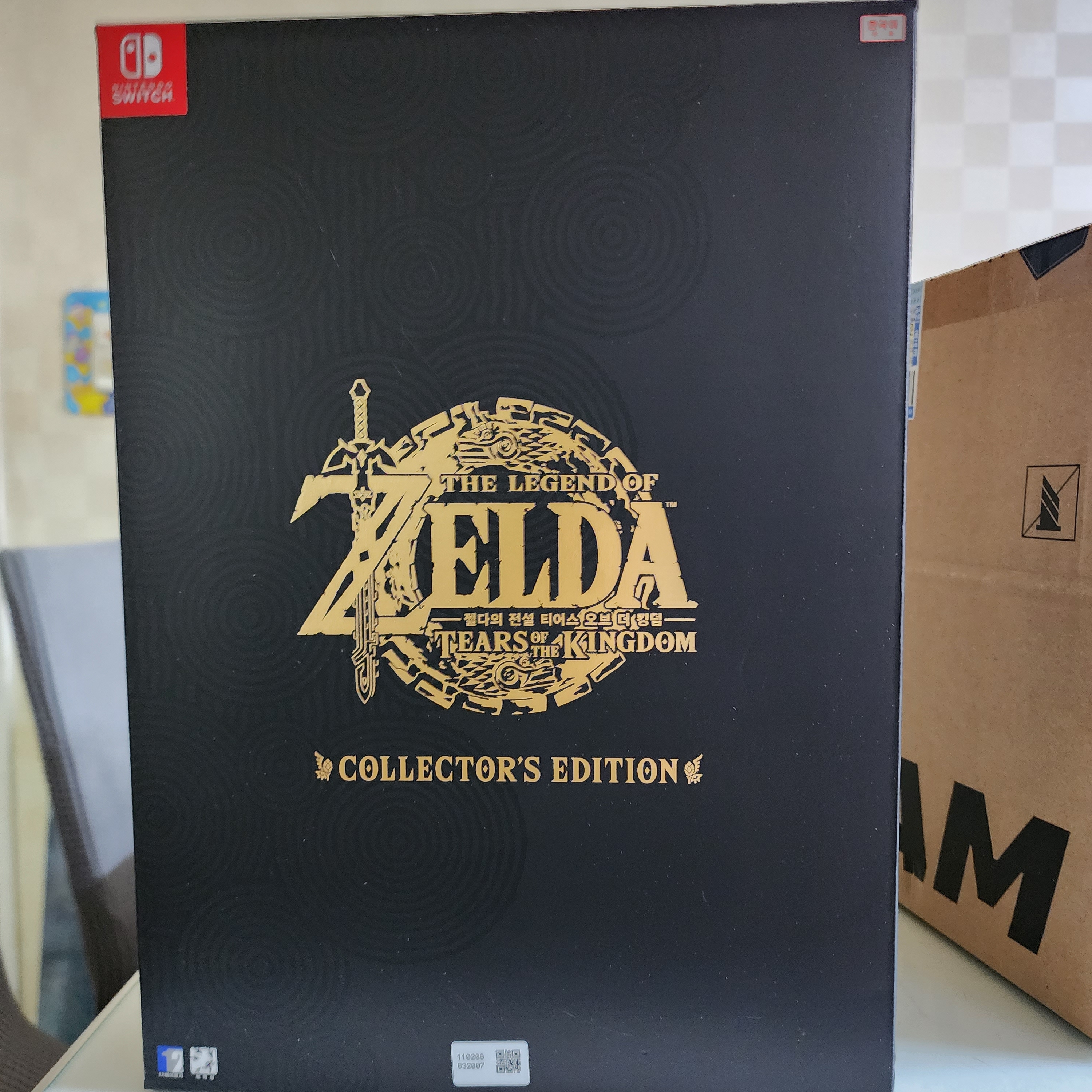 Nintendo Switch The Legend of Zelda Tears of The Kingdom - Collector's Edition (With Title/Korean Ver.) 착용 스타일