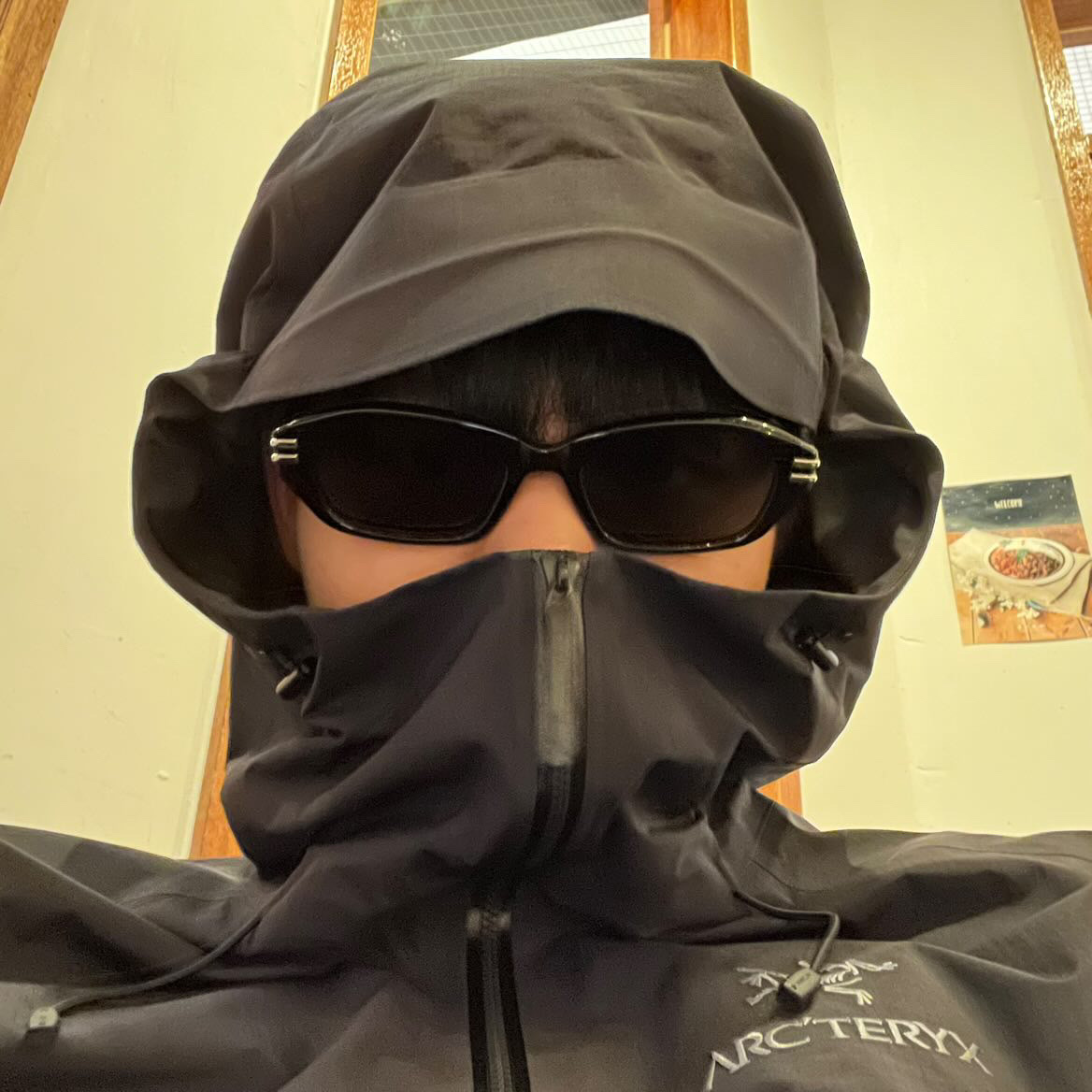 Arc'teryx Beta Jacket Black 착용 스타일