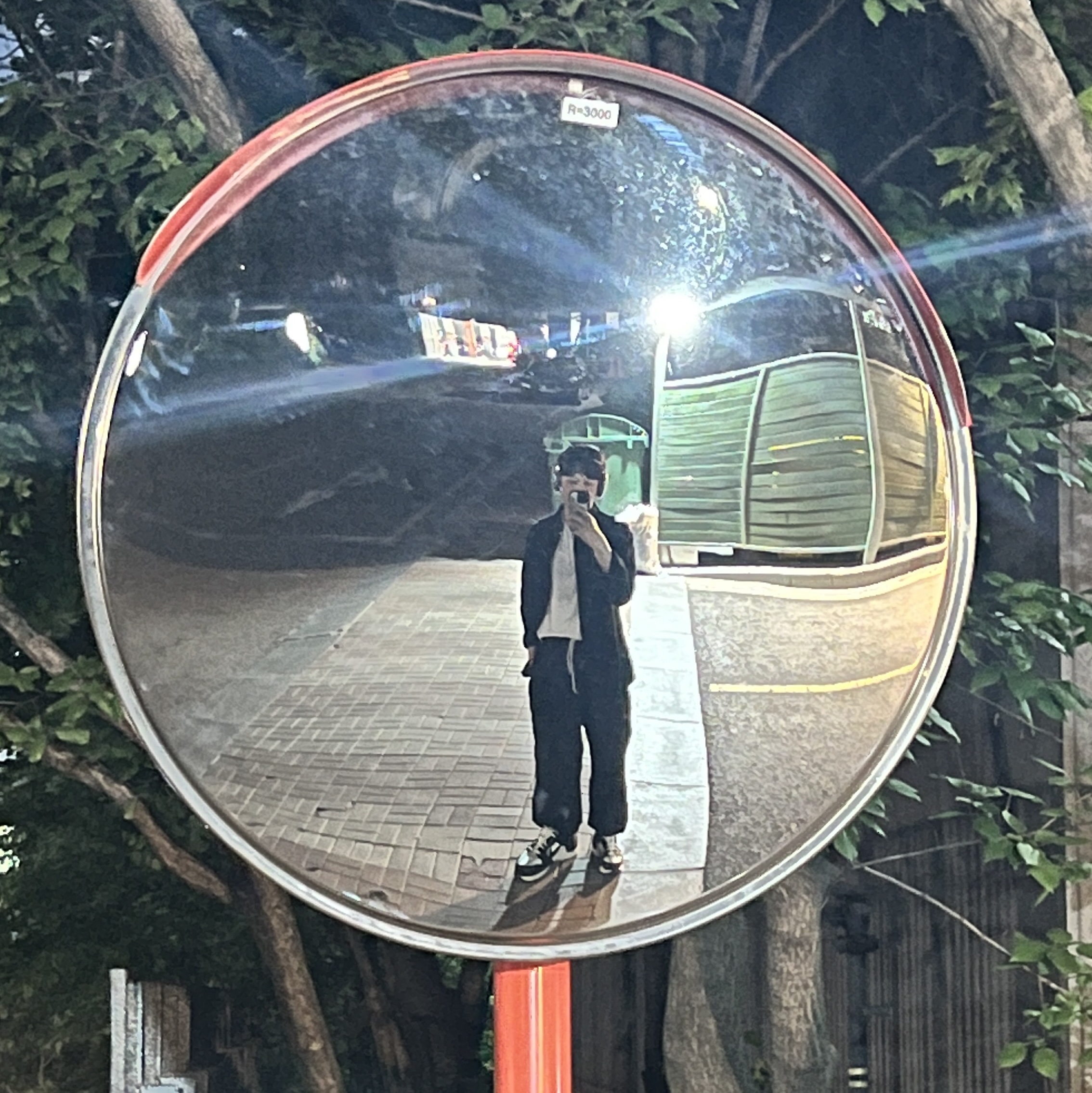 (W) Nike Zoom Vomero 5 Wolf Grey and Black, Apple AirPods Max Lightning Space Gray (Korean Ver.) 착용 스타일