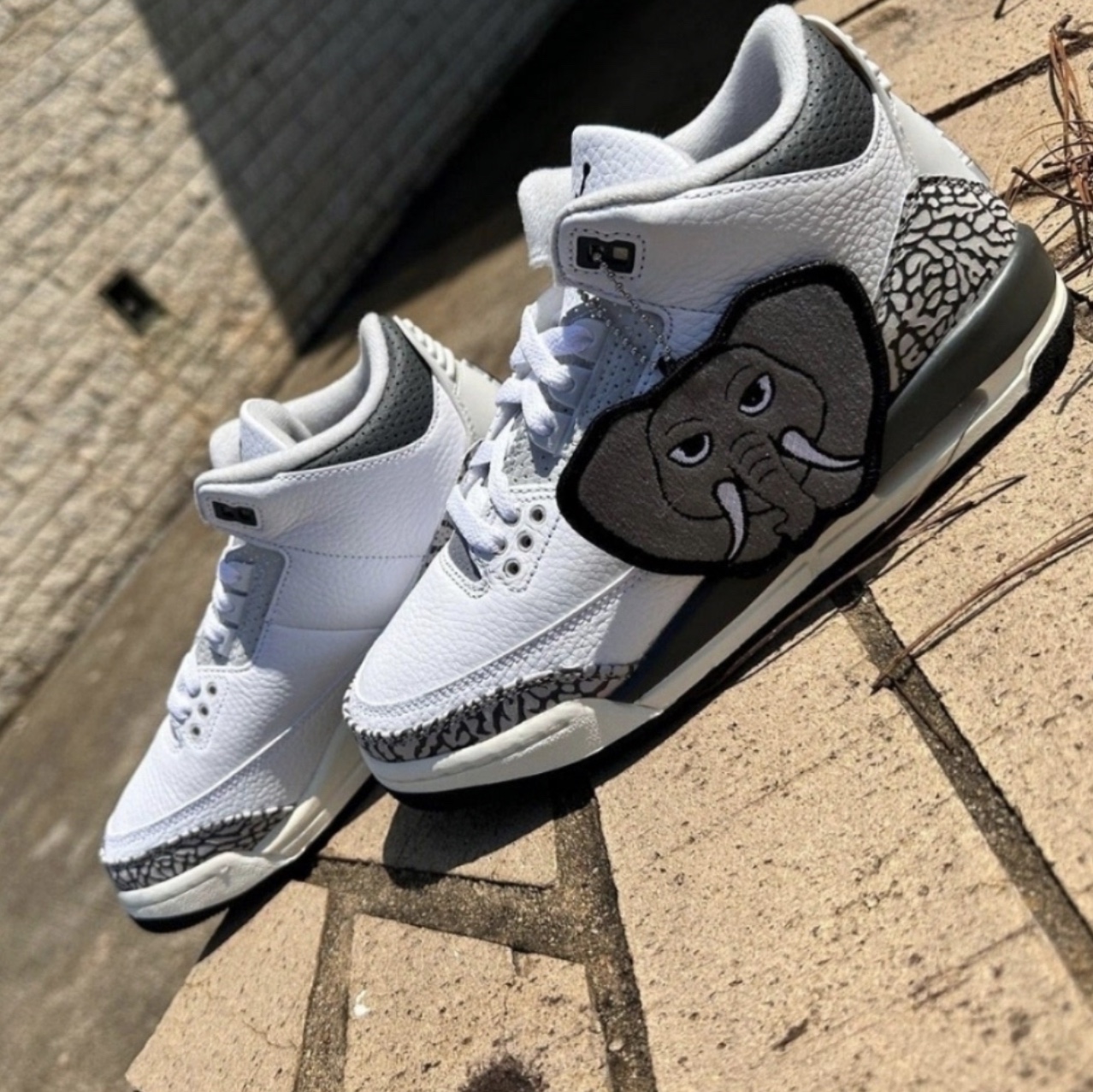 (GS) Jordan 3 Retro Animal Icon 착용 스타일 - 1