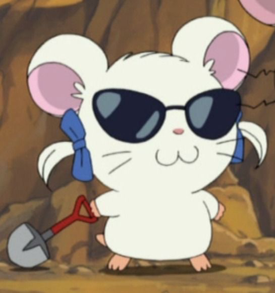 관심 유저 프로필 이미지