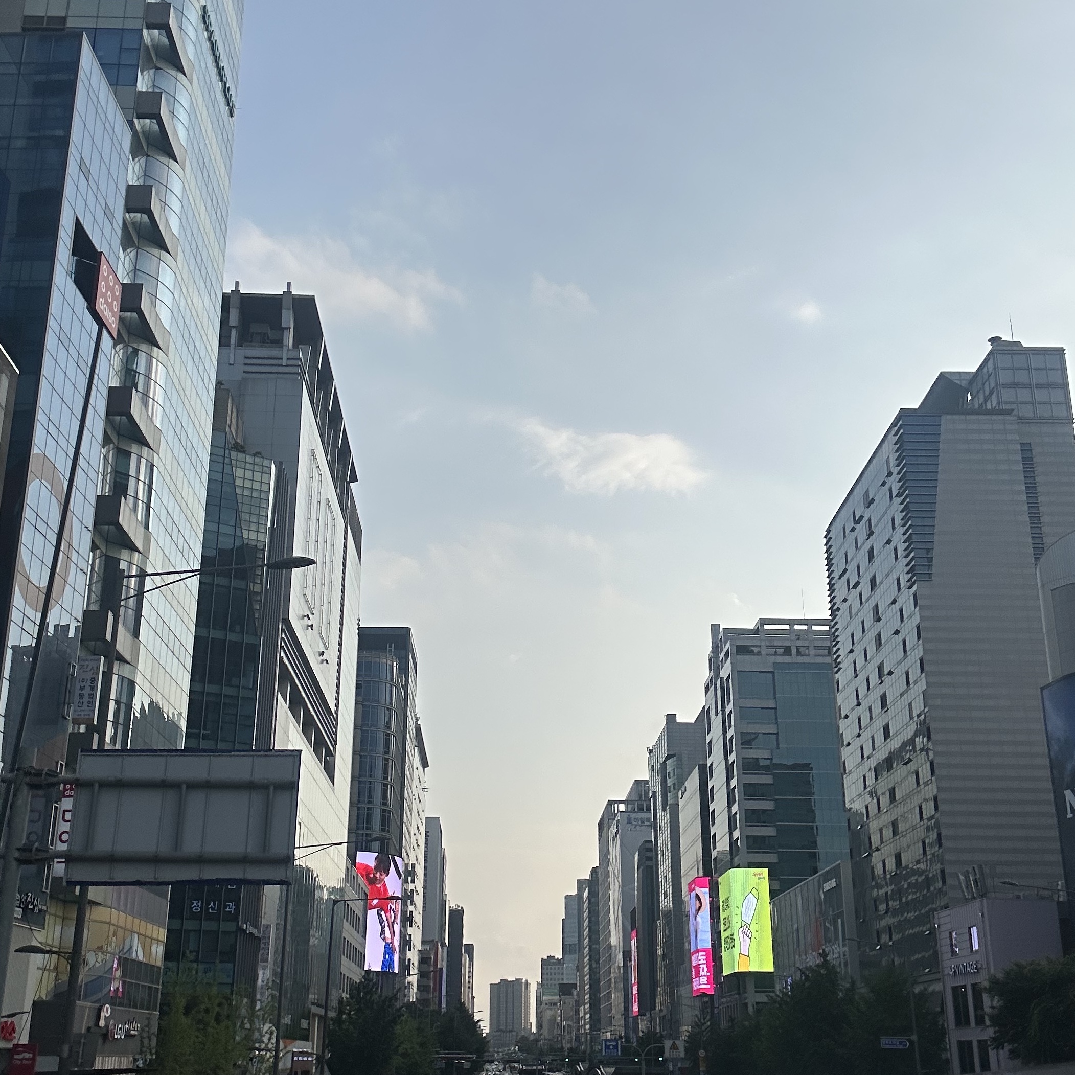 대구망고님의 스타일 - 1