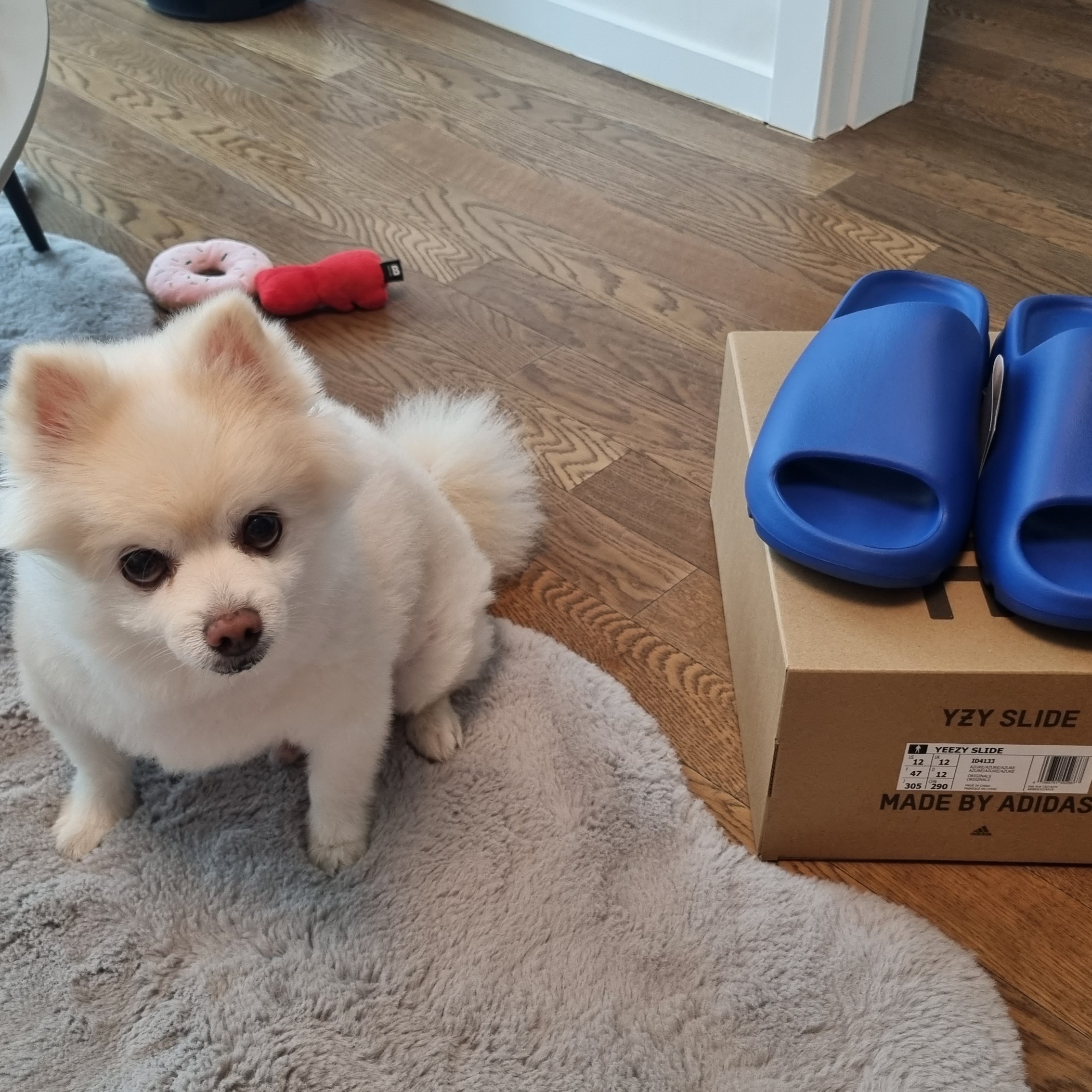 Adidas Yeezy Slide Azure 착용 스타일