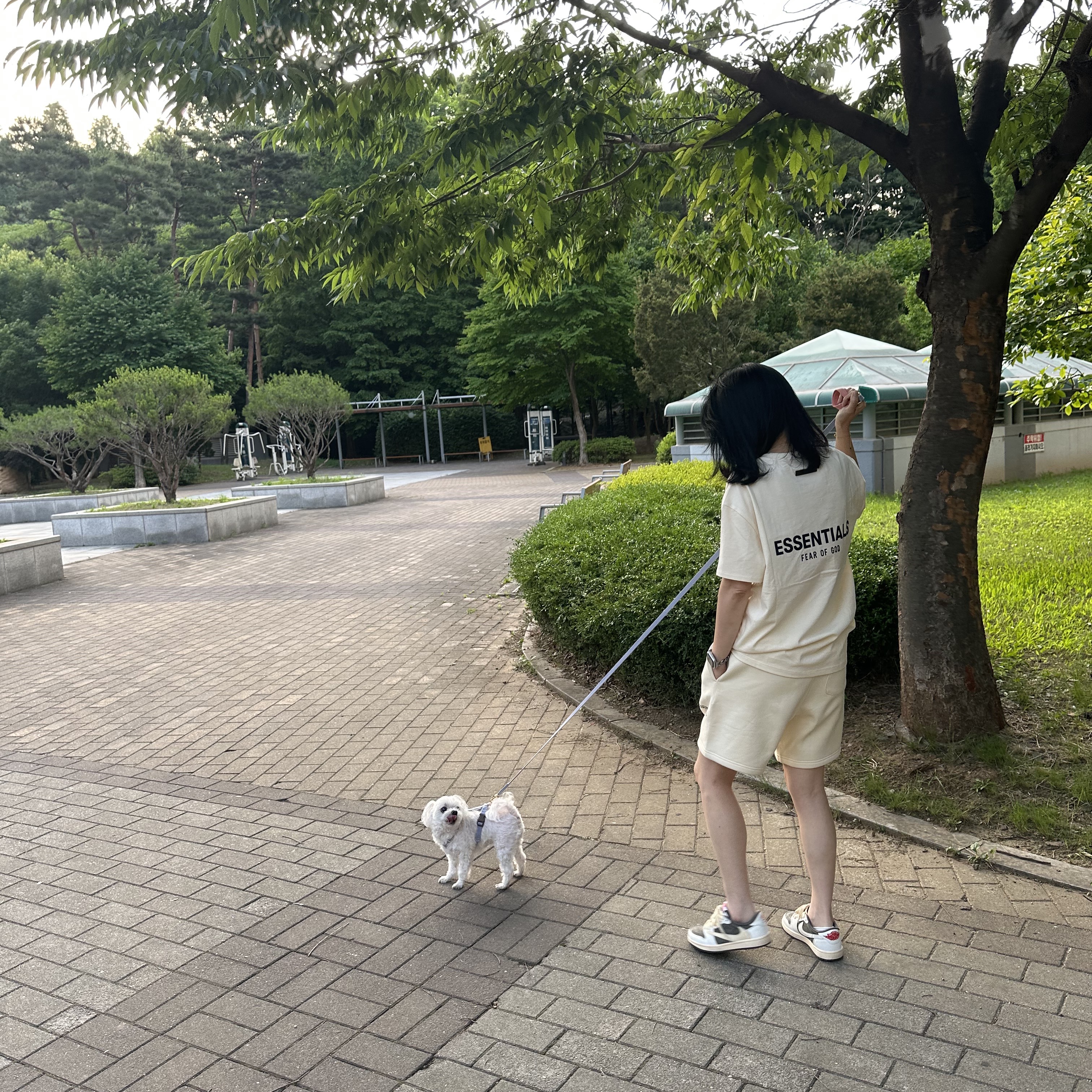 Essentials Sweatshorts Cream - 21SS 착용 스타일 - 1