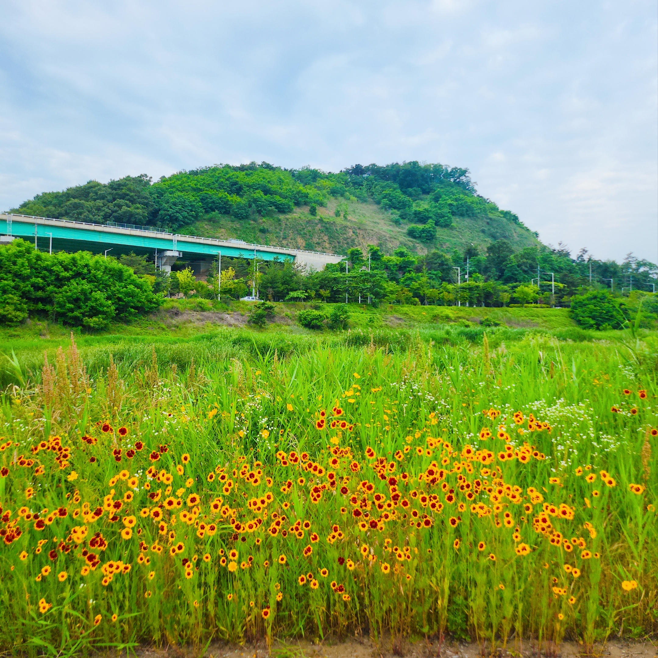 뉴발란스 574 헤리티지 오렌지 버스트 화이트 착용 스타일 - 5