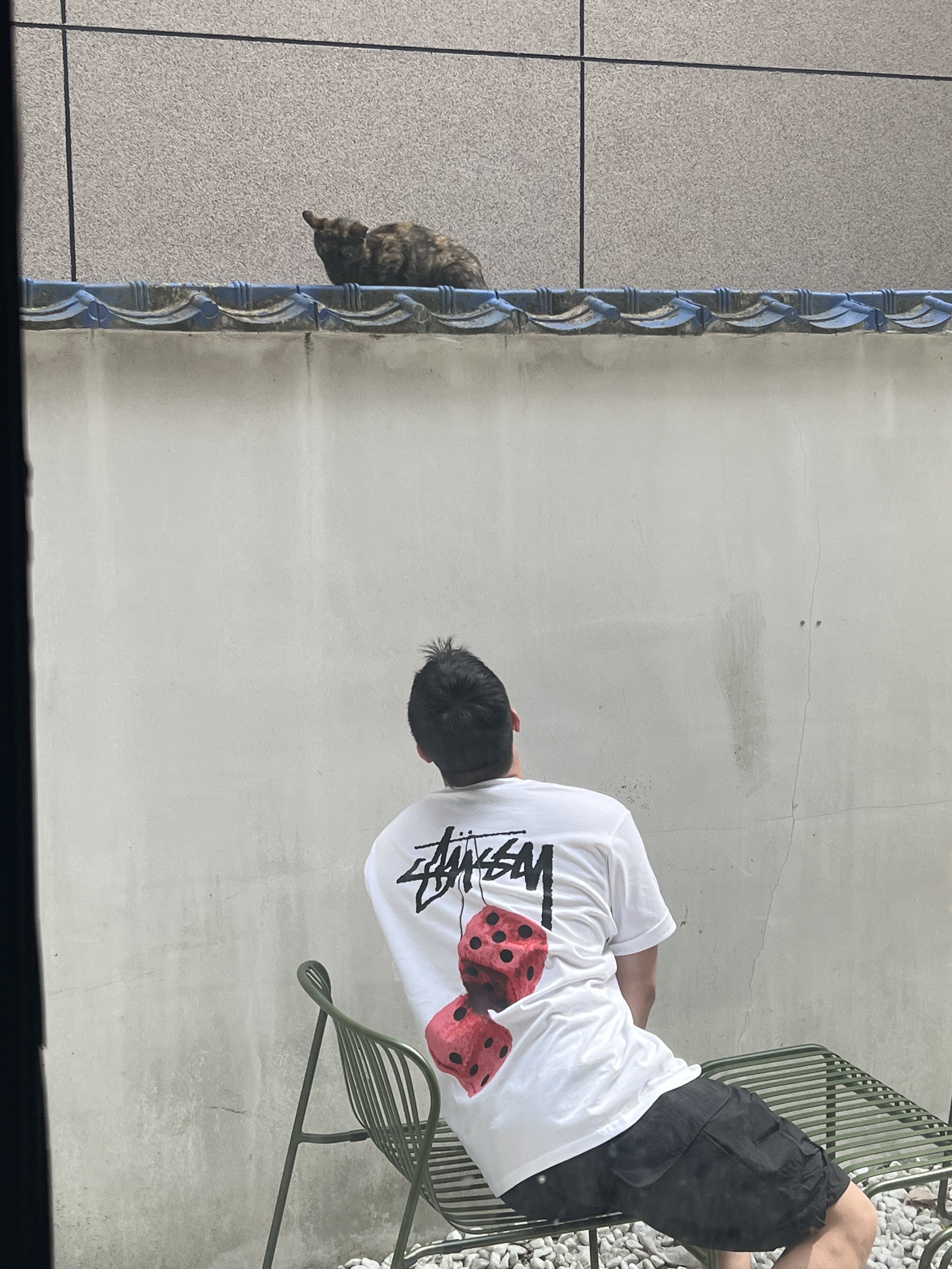 Stussy Fuzzy Dice T-Shirt White 착용 스타일 - 3