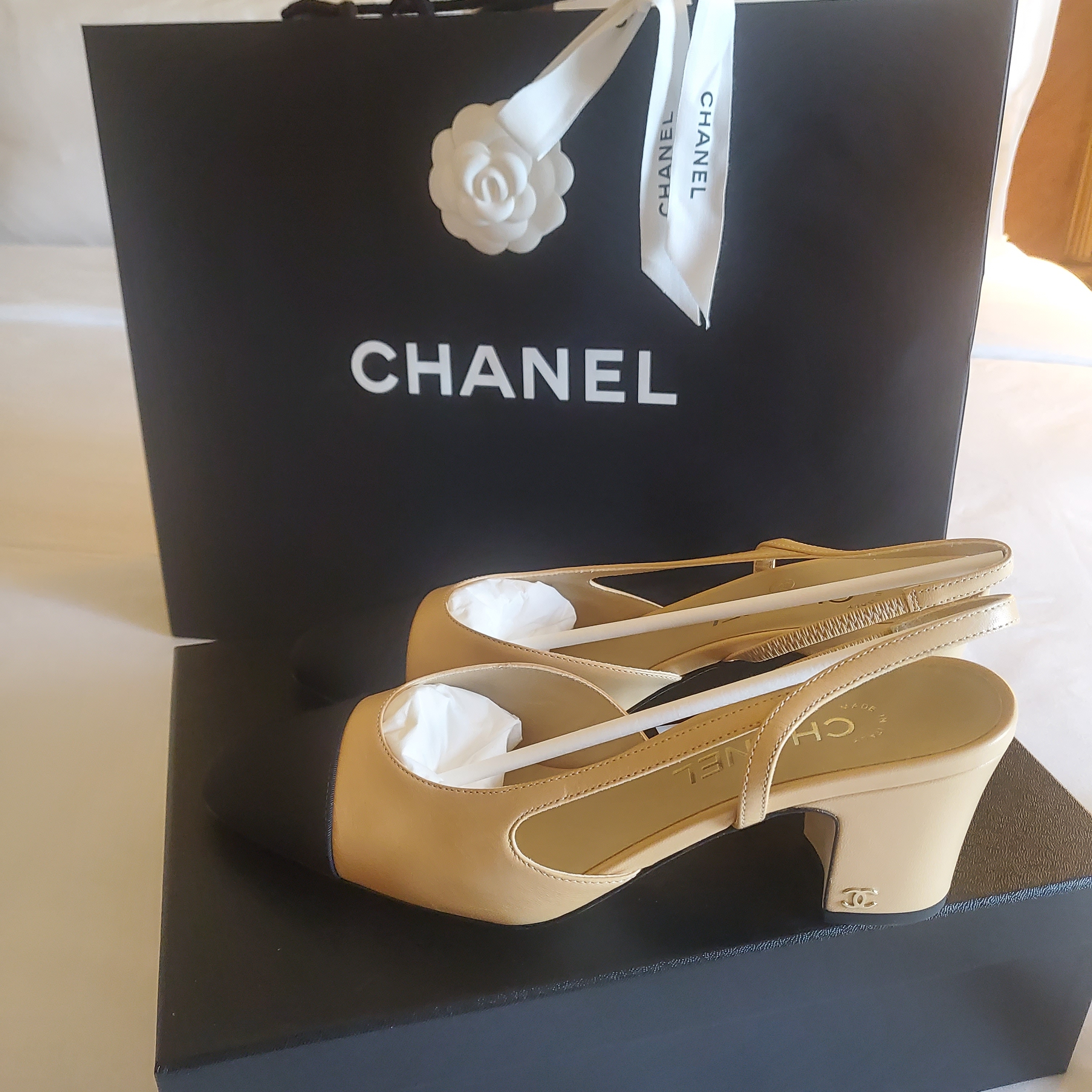 (W) Chanel Slingbacks Goatskin Grosgrain & Beige Black 착용 스타일