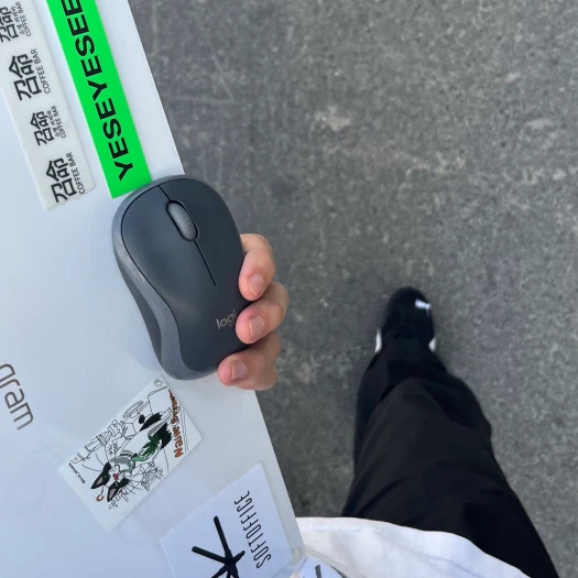 스타일 카드