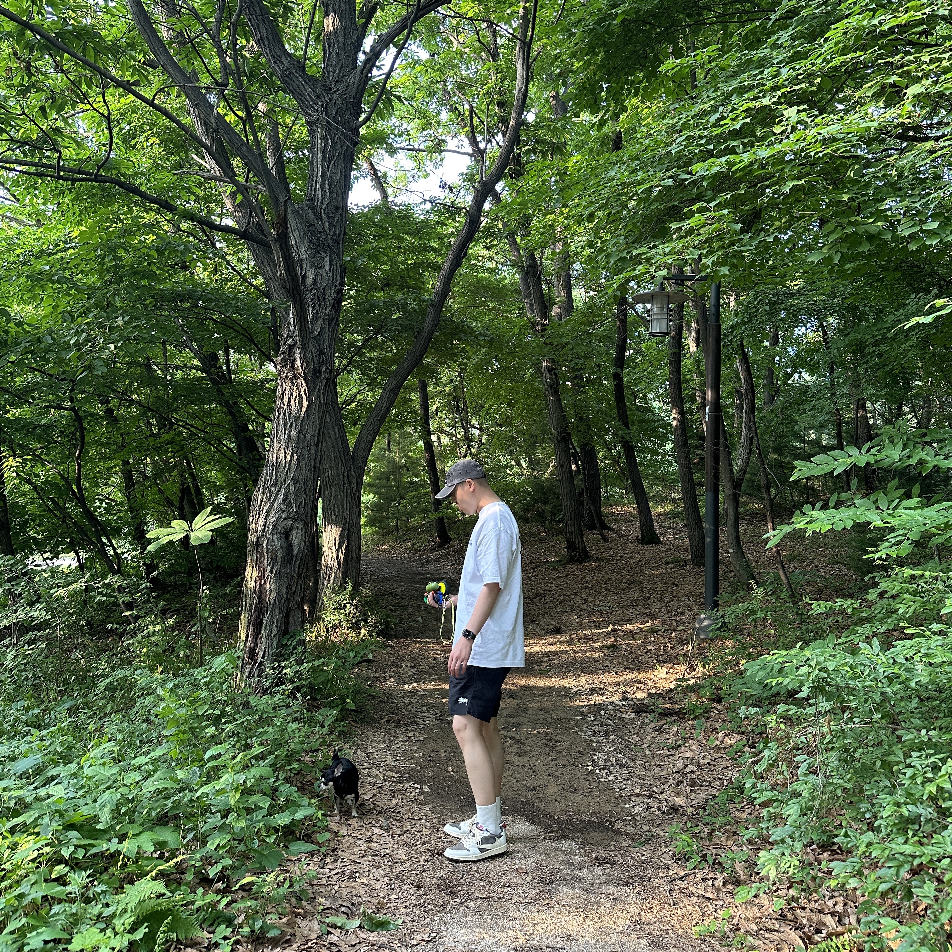 조던 1 x 트래비스 스캇 레트로 로우 OG SP 세일 앤 리저록, 스투시 스탁 워터 쇼츠 블랙 착용 스타일 - 1