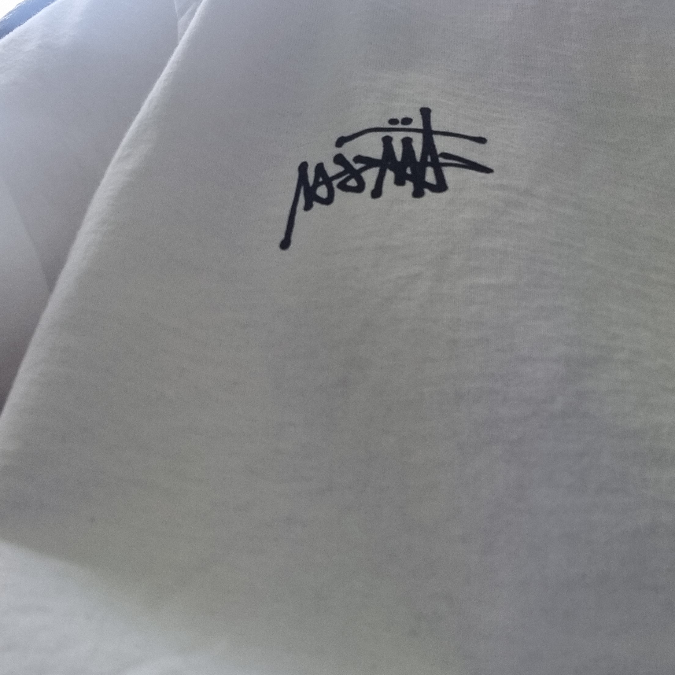 Stussy Basic Stussy T-Shirt White 2023 착용 스타일