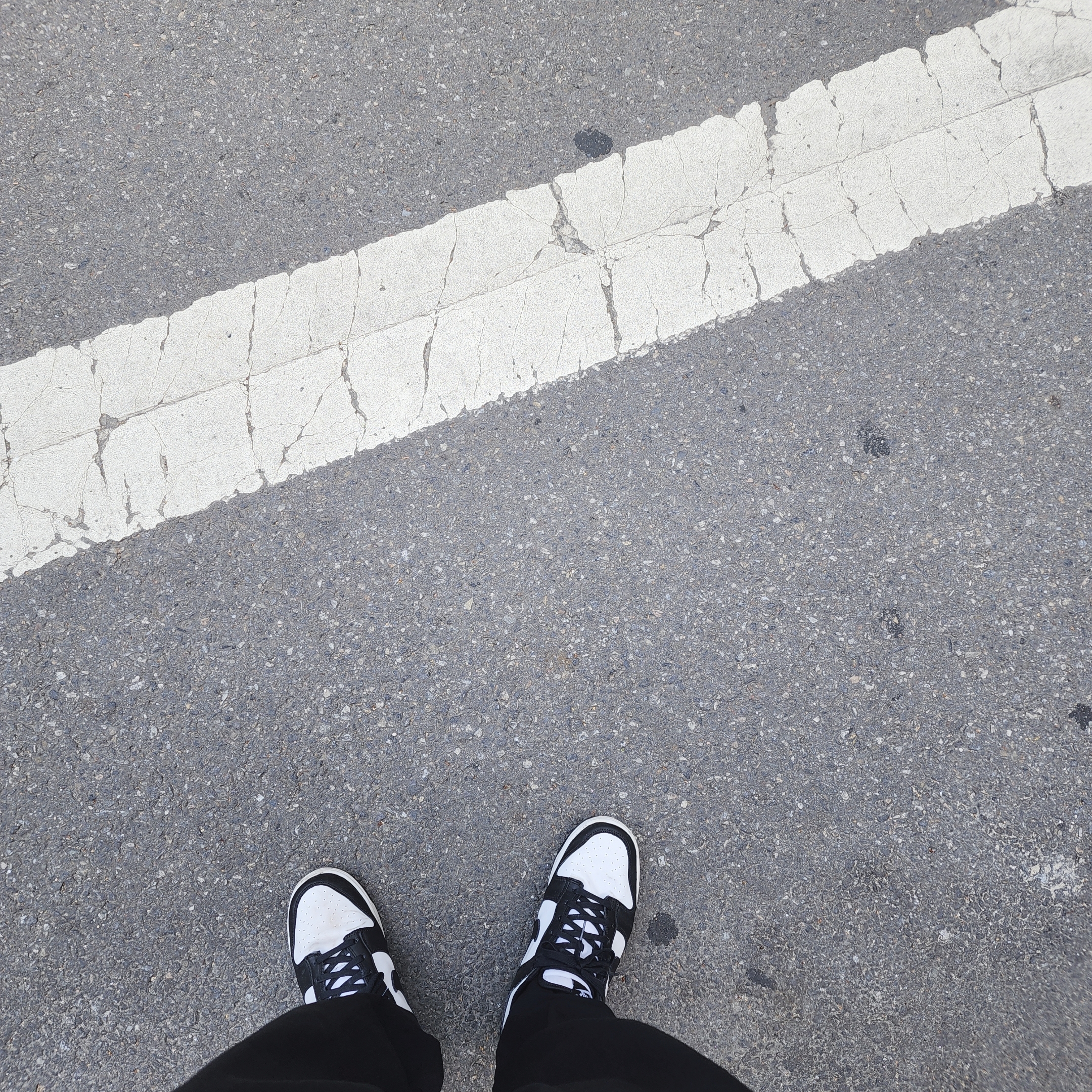 Nike Dunk Low Retro Black 착용 스타일