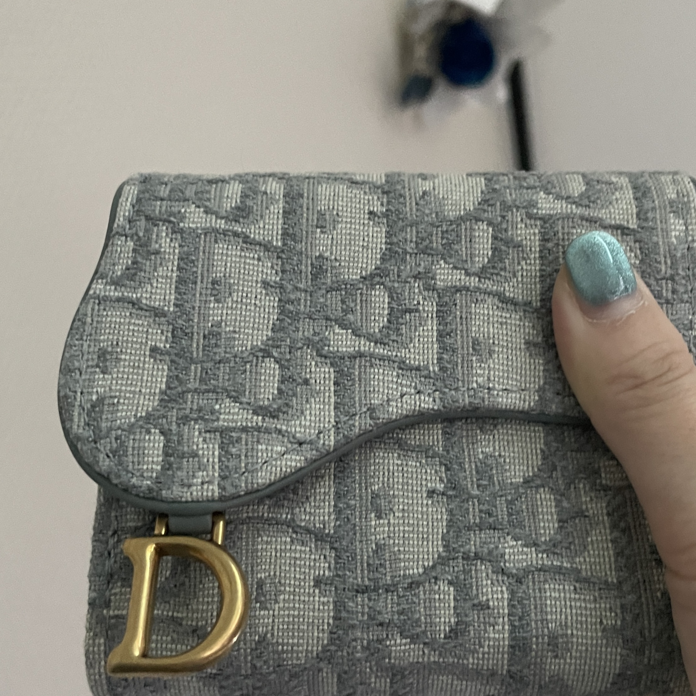 Dior Saddle Lotus Wallet Grey Dior Oblique Jacquard 착용 스타일 - 2