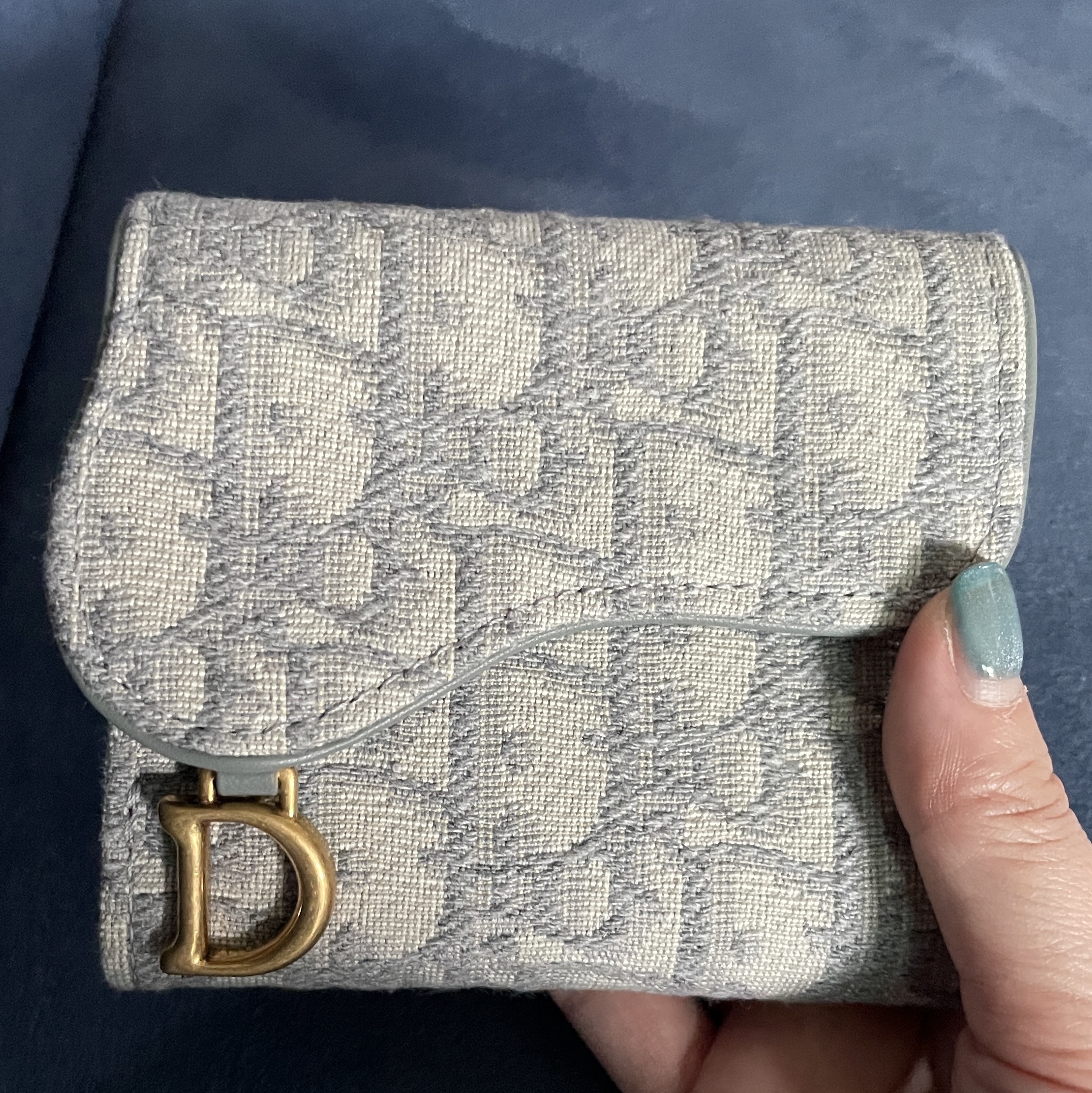 Dior Saddle Lotus Wallet Grey Dior Oblique Jacquard 착용 스타일 - 1