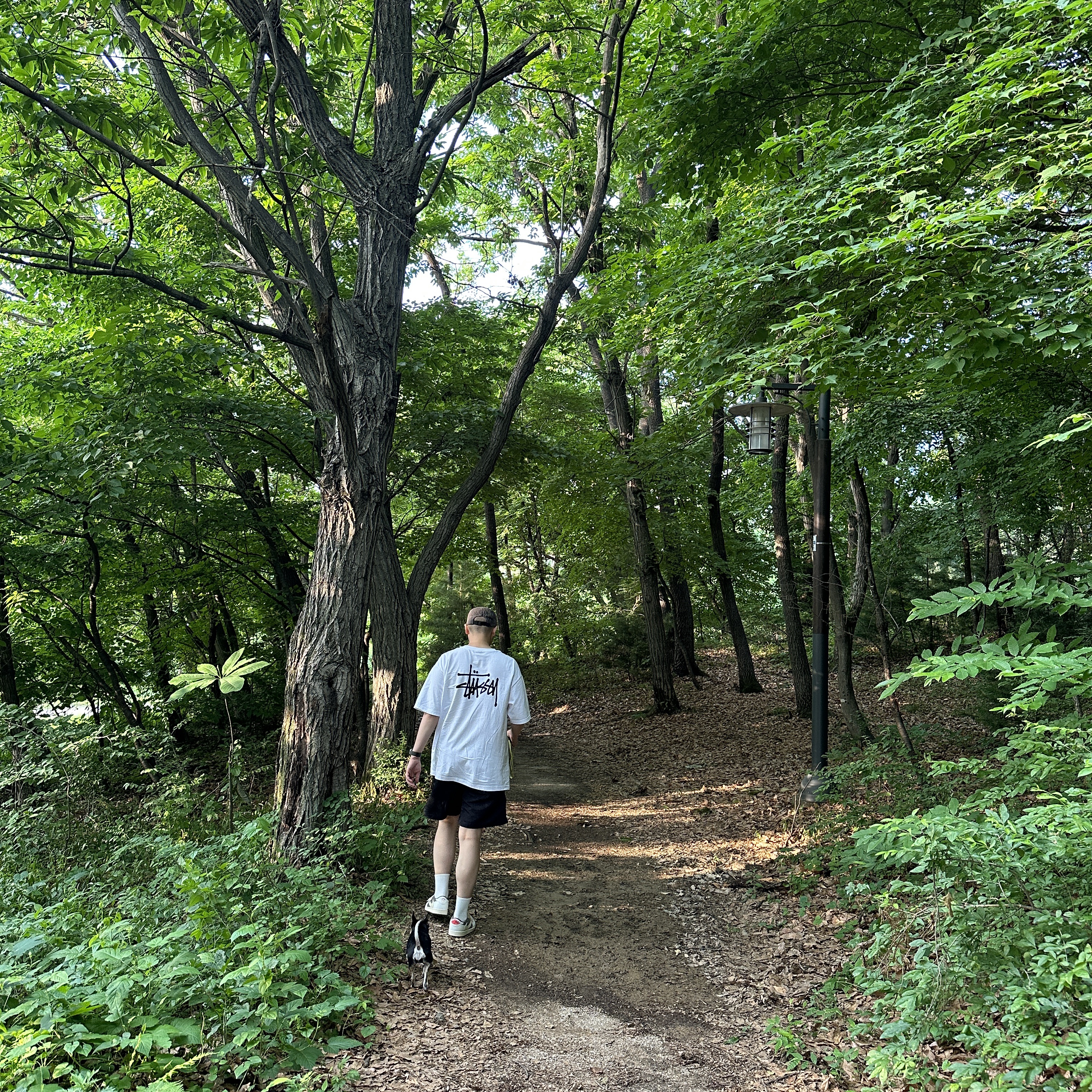 조던 1 x 트래비스 스캇 레트로 로우 OG SP 세일 앤 리저록, 스투시 스탁 워터 쇼츠 블랙 착용 스타일 - 3