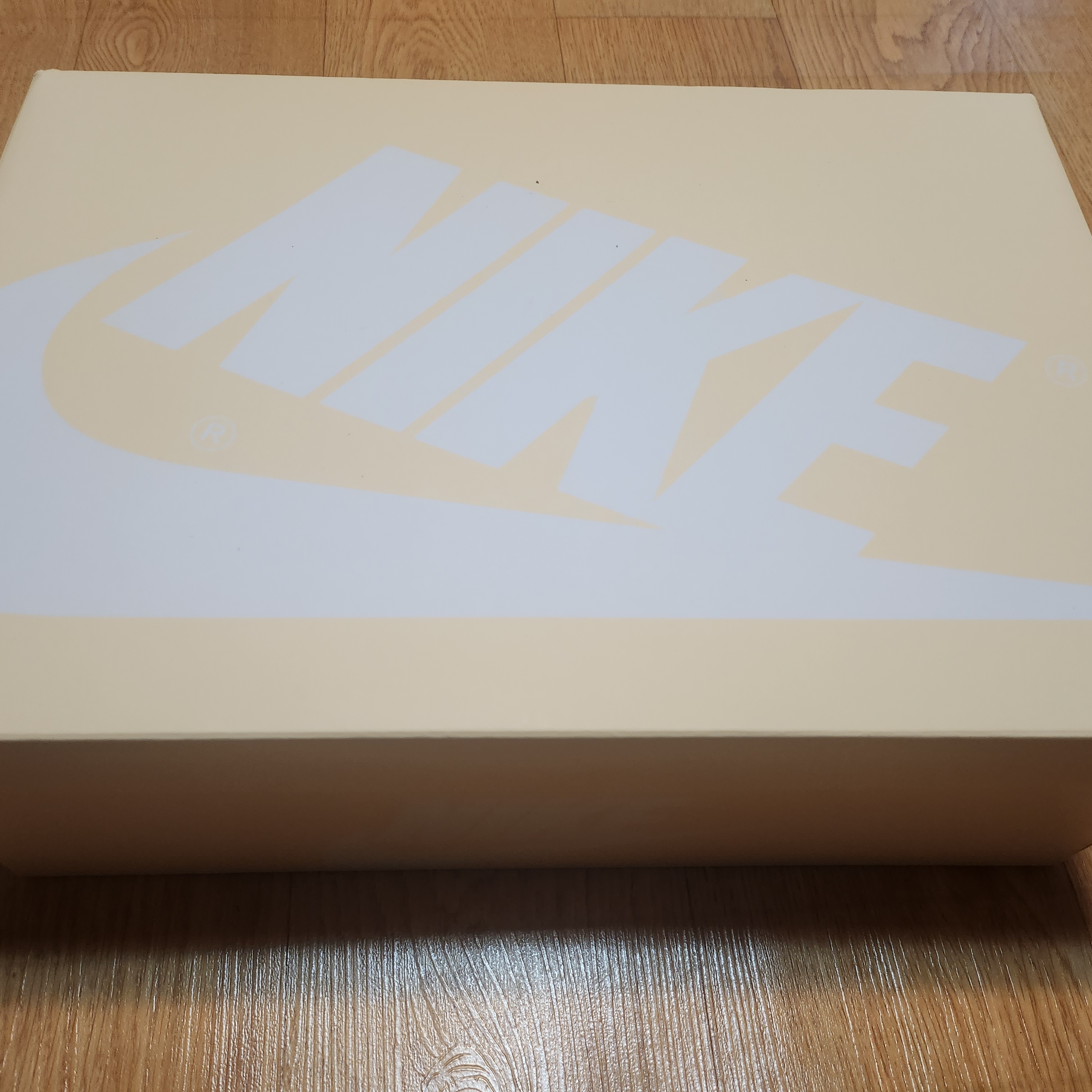 Jordan 1 Retro High OG Craft Sail and Pale Vanilla 착용 스타일 - 1