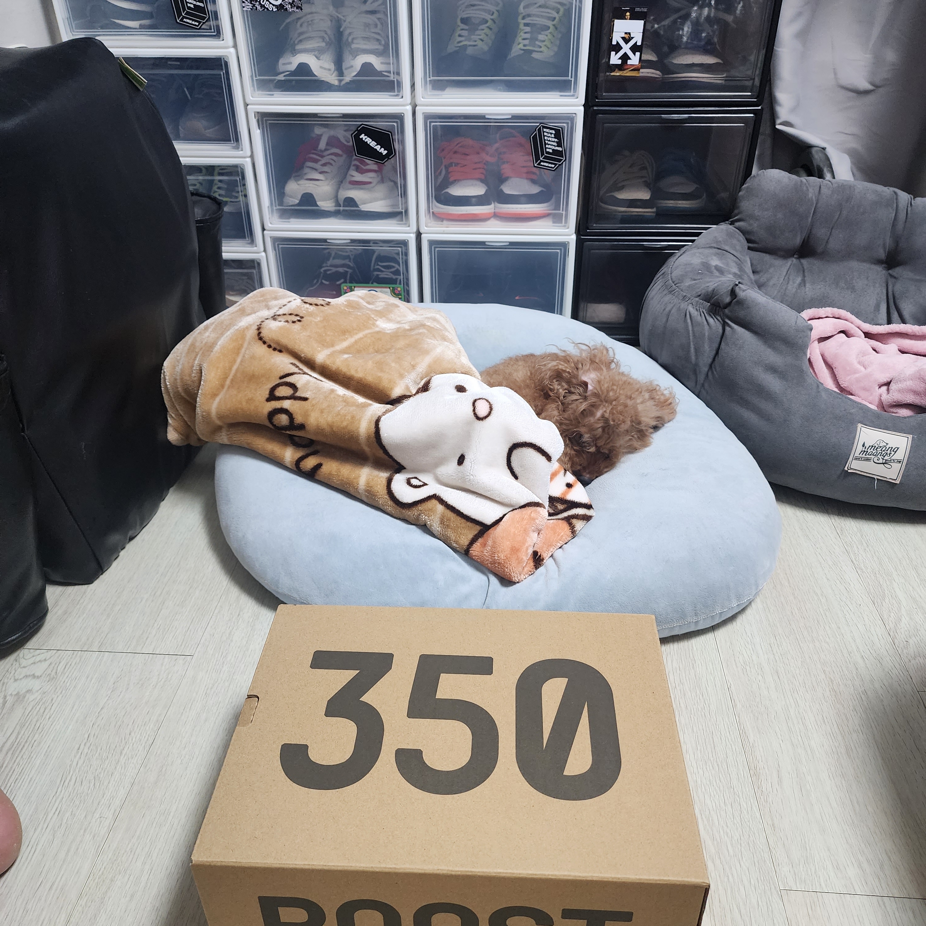 Adidas Yeezy Boost 350 Pirate Black 2023 착용 스타일 - 1