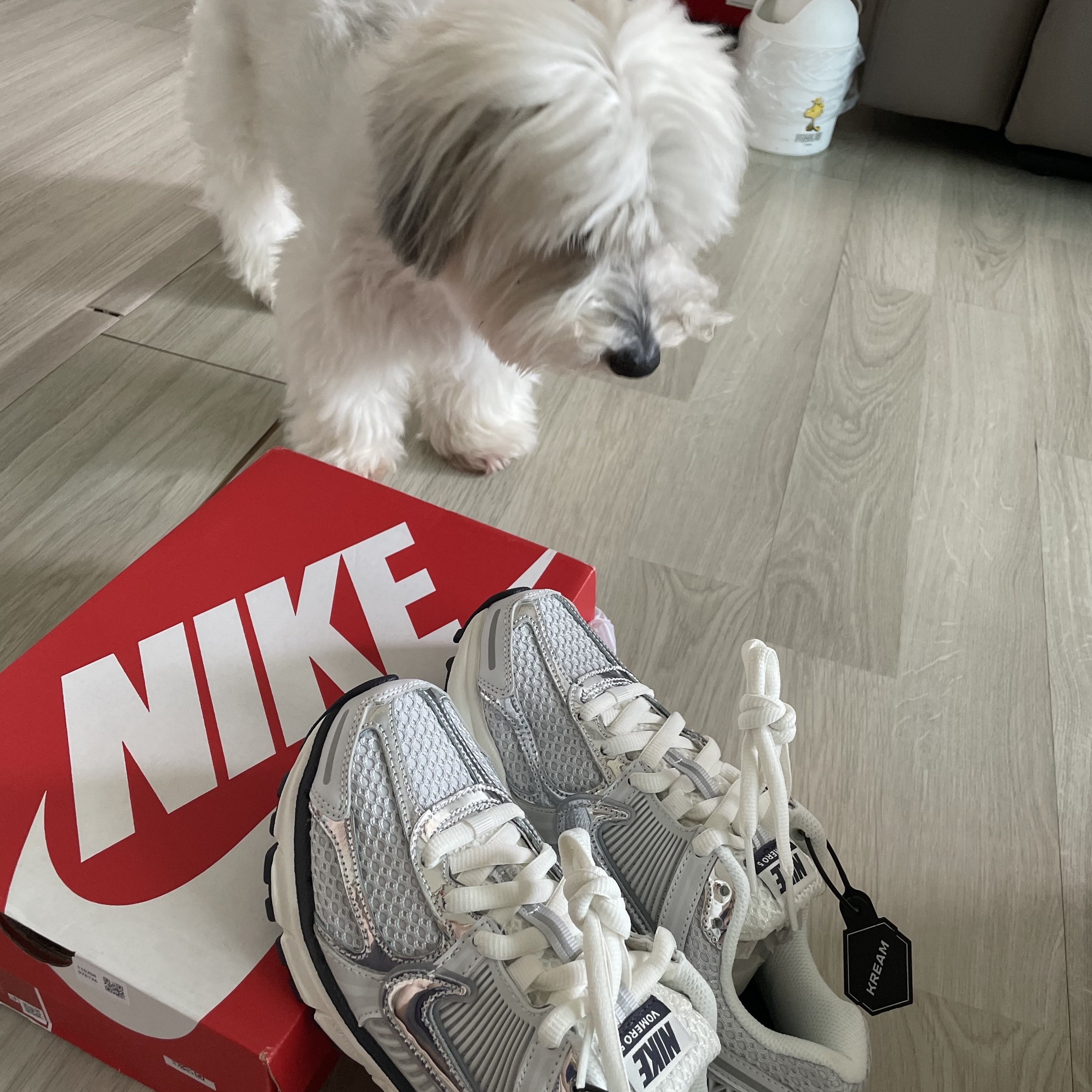 (W) Nike Zoom Vomero 5 Photon Dust and Metallic Silver 착용 스타일 - 1