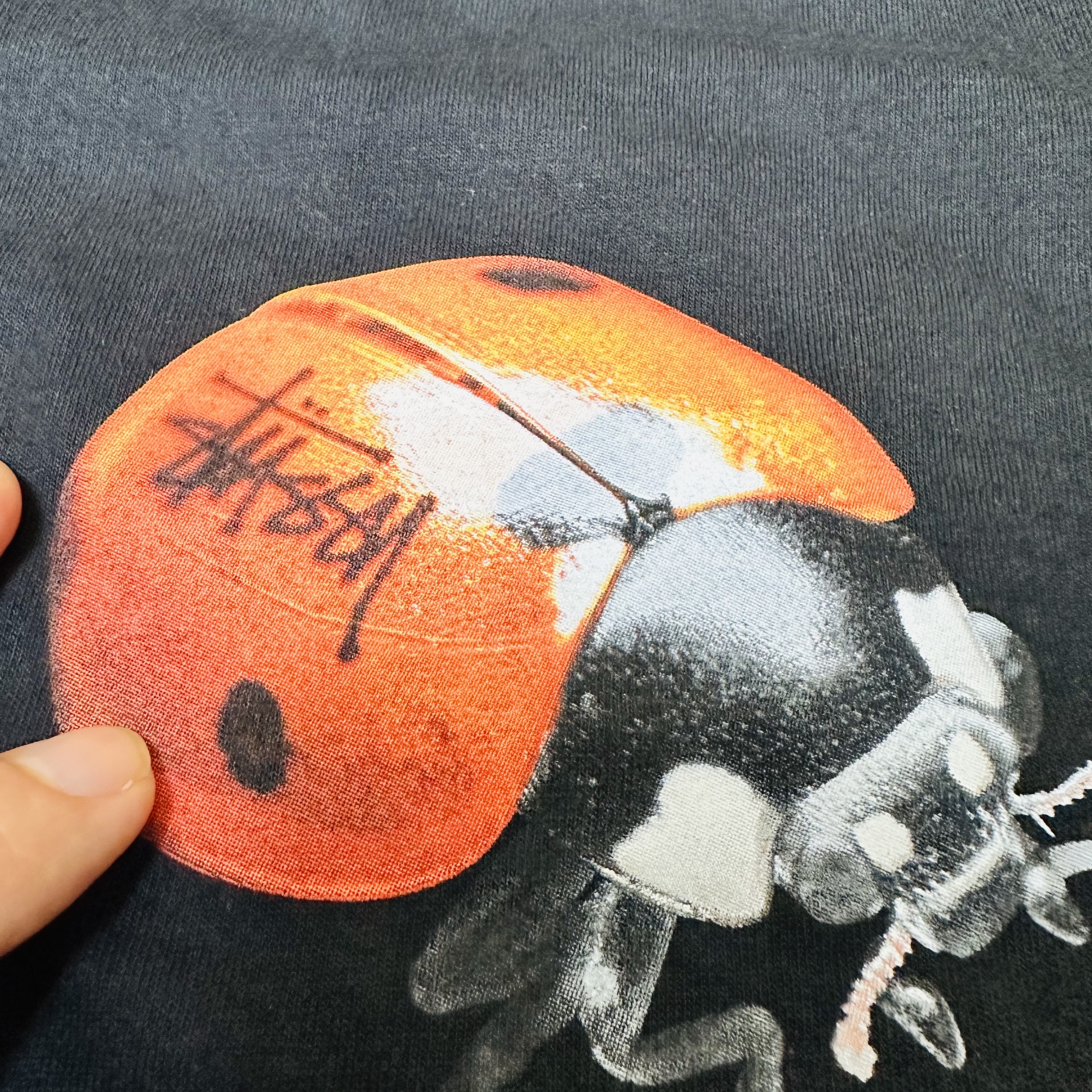 Stussy Lady Bug T-Shirt Black 착용 스타일