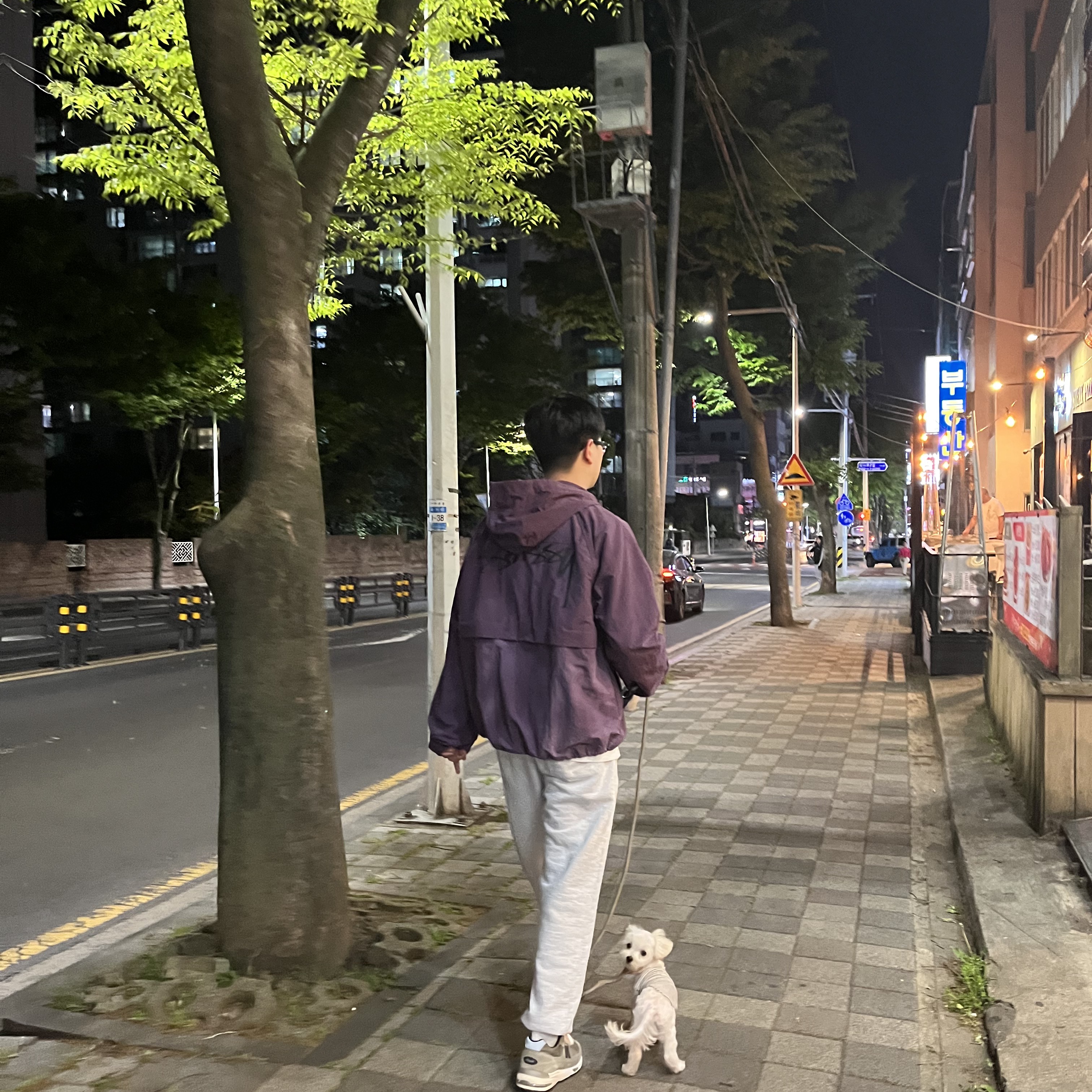 Stussy Wave Dye Beach Shell Jacket Purple 착용 스타일