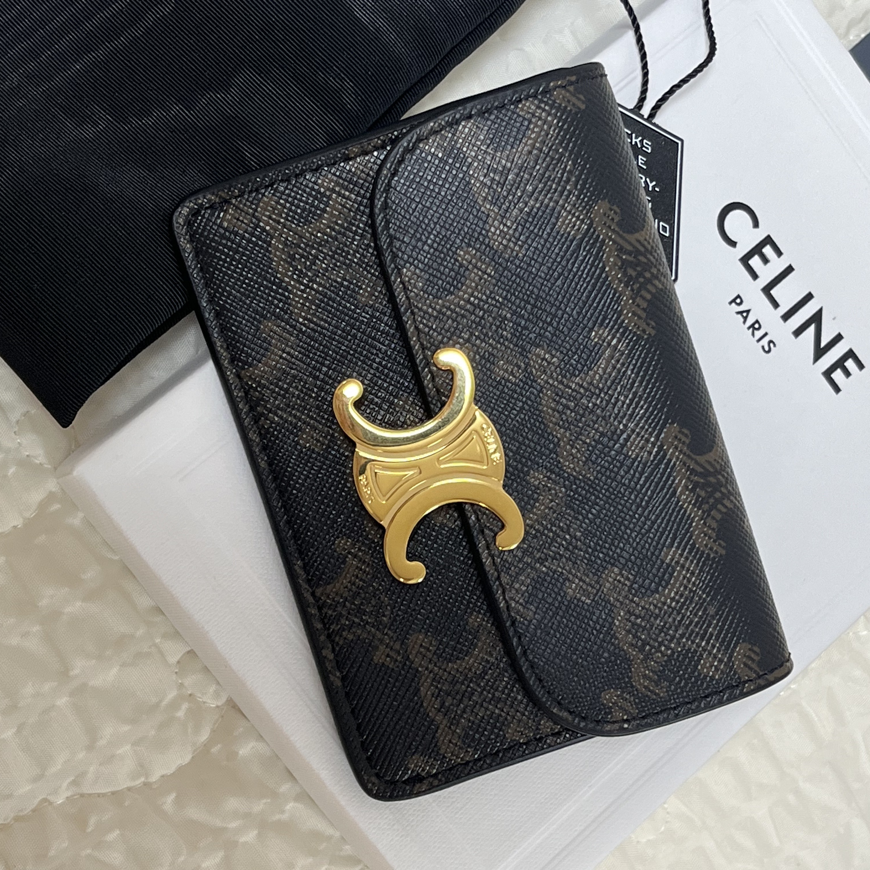 Celine Card Holder with Flap in Triomphe Canvas Tan 착용 스타일