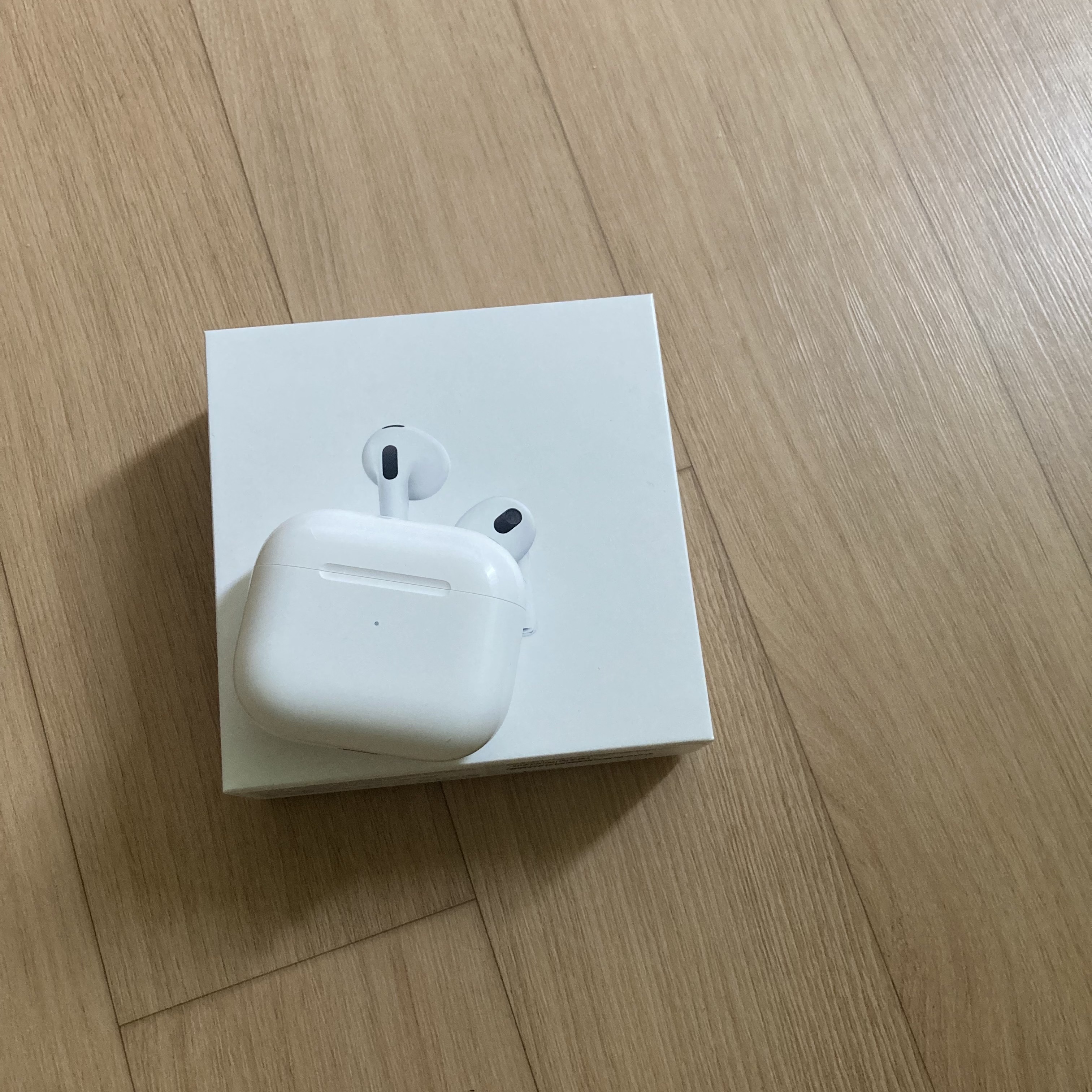 Apple Airpods 3rd Gen with MagSafe Charging Case (Korean Ver.) 착용 스타일
