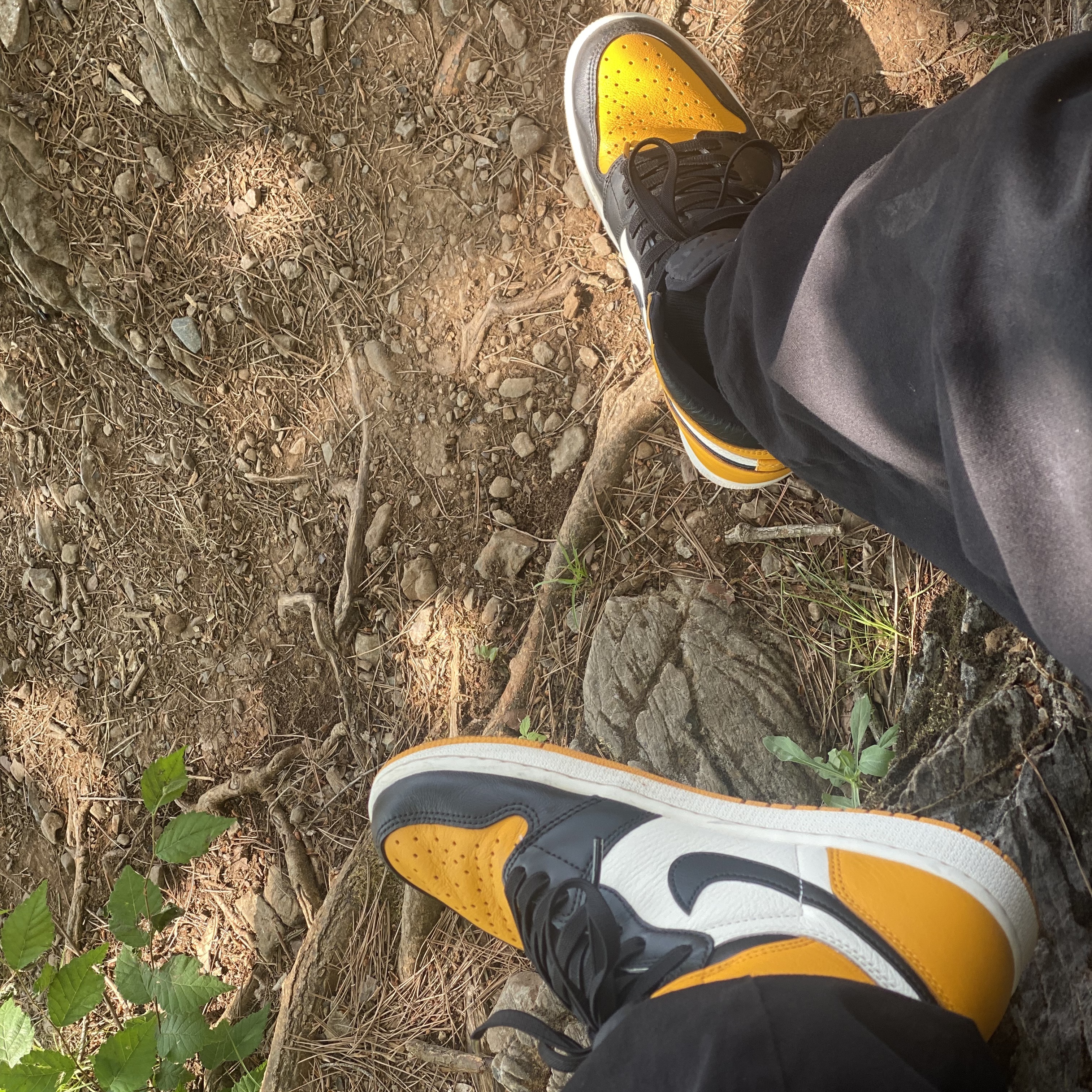 Jordan 1 Retro High OG Taxi 착용 스타일