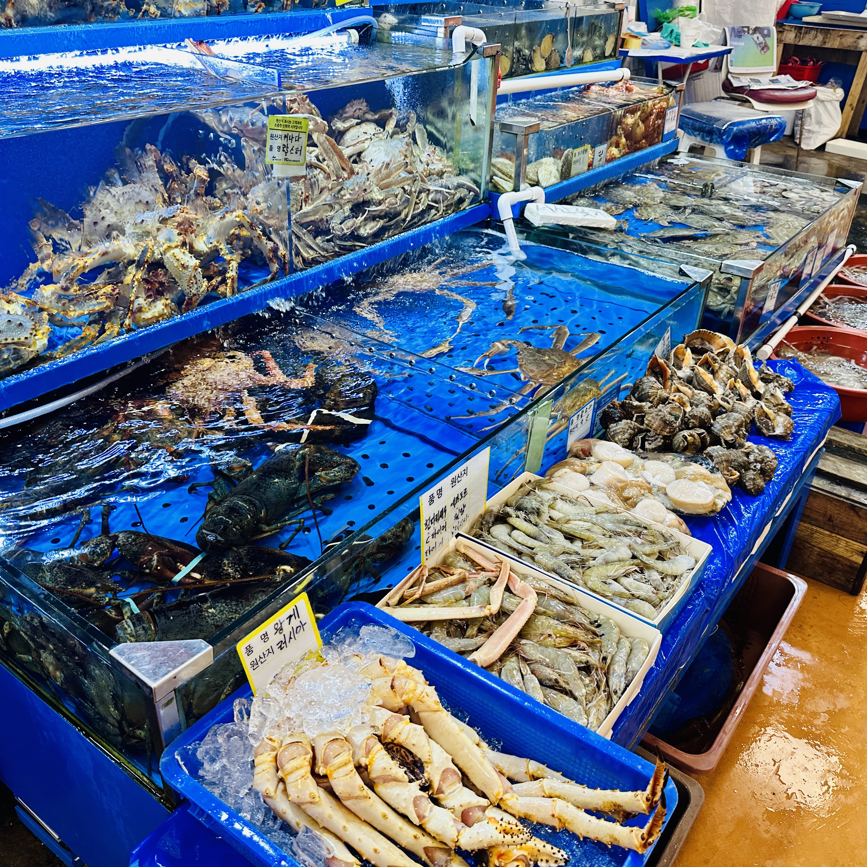 반스 볼트 x 마스터마인드 월드 올드스쿨 볼트 블랙 착용 스타일 - 4